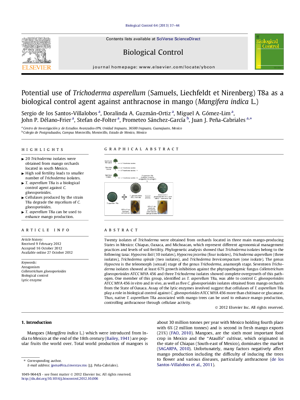 Potential use of Trichoderma asperellum (Samuels, Liechfeldt et Nirenberg) T8a as a biological control agent against anthracnose in mango (Mangifera indica L.)