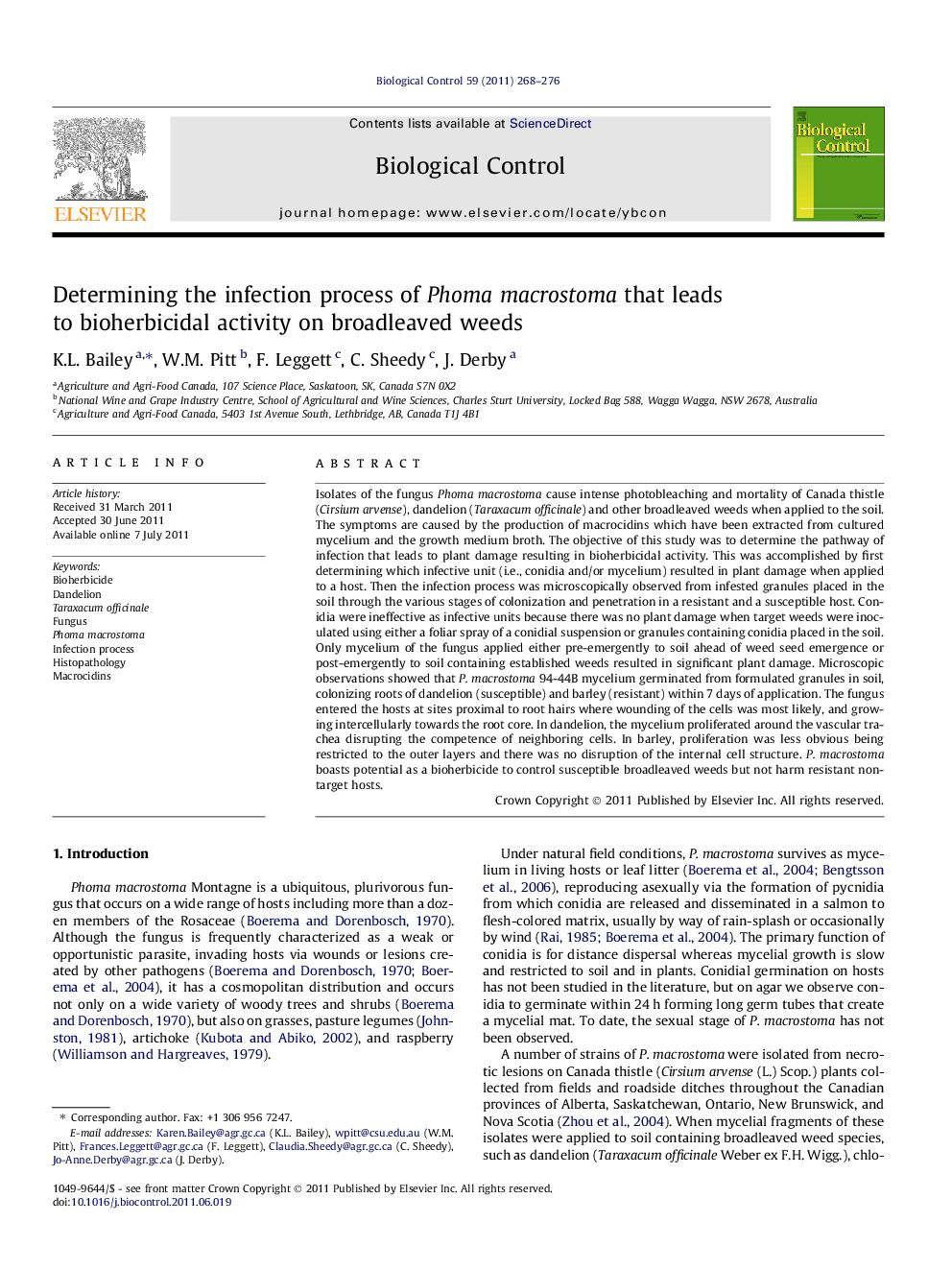 Determining the infection process of Phoma macrostoma that leads to bioherbicidal activity on broadleaved weeds