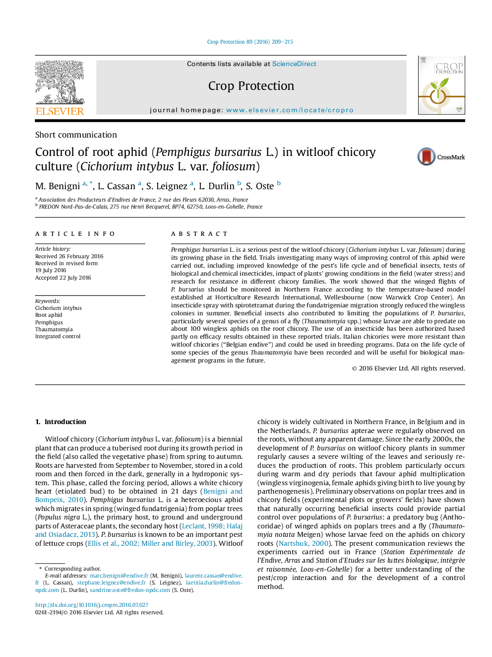 Control of root aphid (Pemphigus bursarius L.) in witloof chicory culture (Cichorium intybus L. var. foliosum)