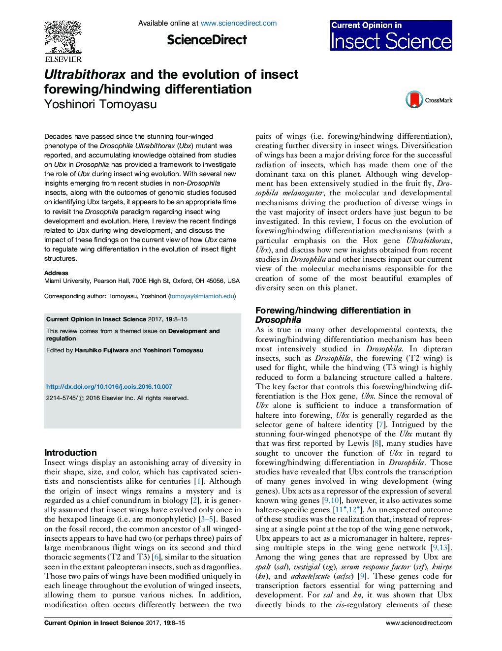 Ultrabithorax and the evolution of insect forewing/hindwing differentiation