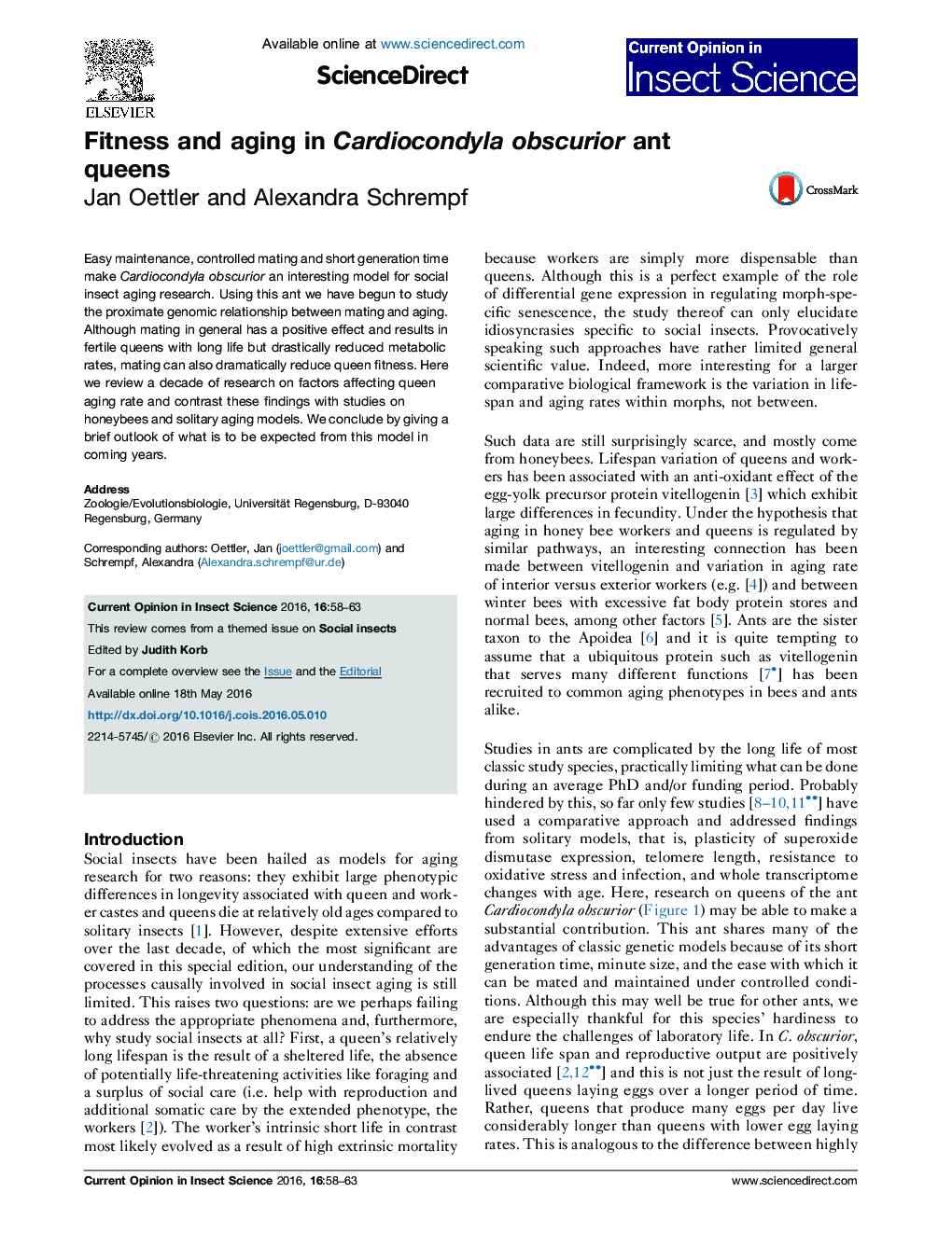 Fitness and aging in Cardiocondyla obscurior ant queens