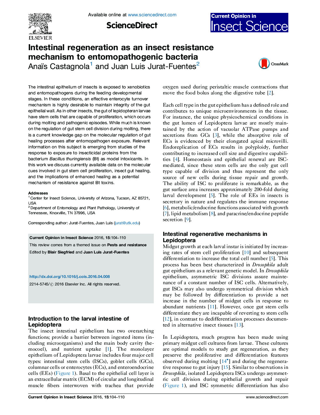 Intestinal regeneration as an insect resistance mechanism to entomopathogenic bacteria