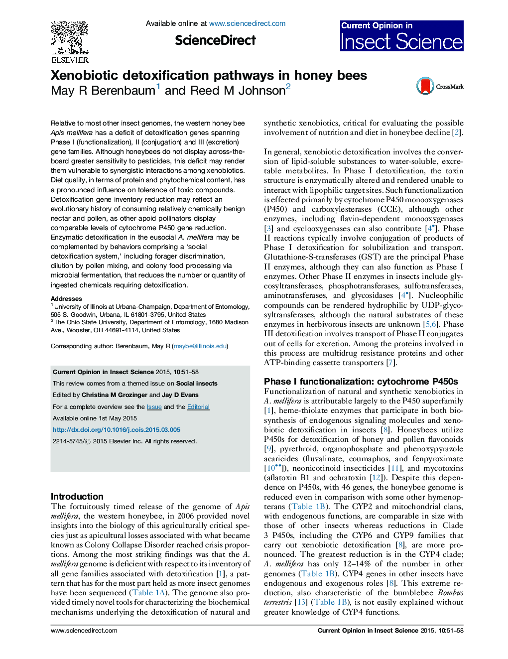 Xenobiotic detoxification pathways in honey bees