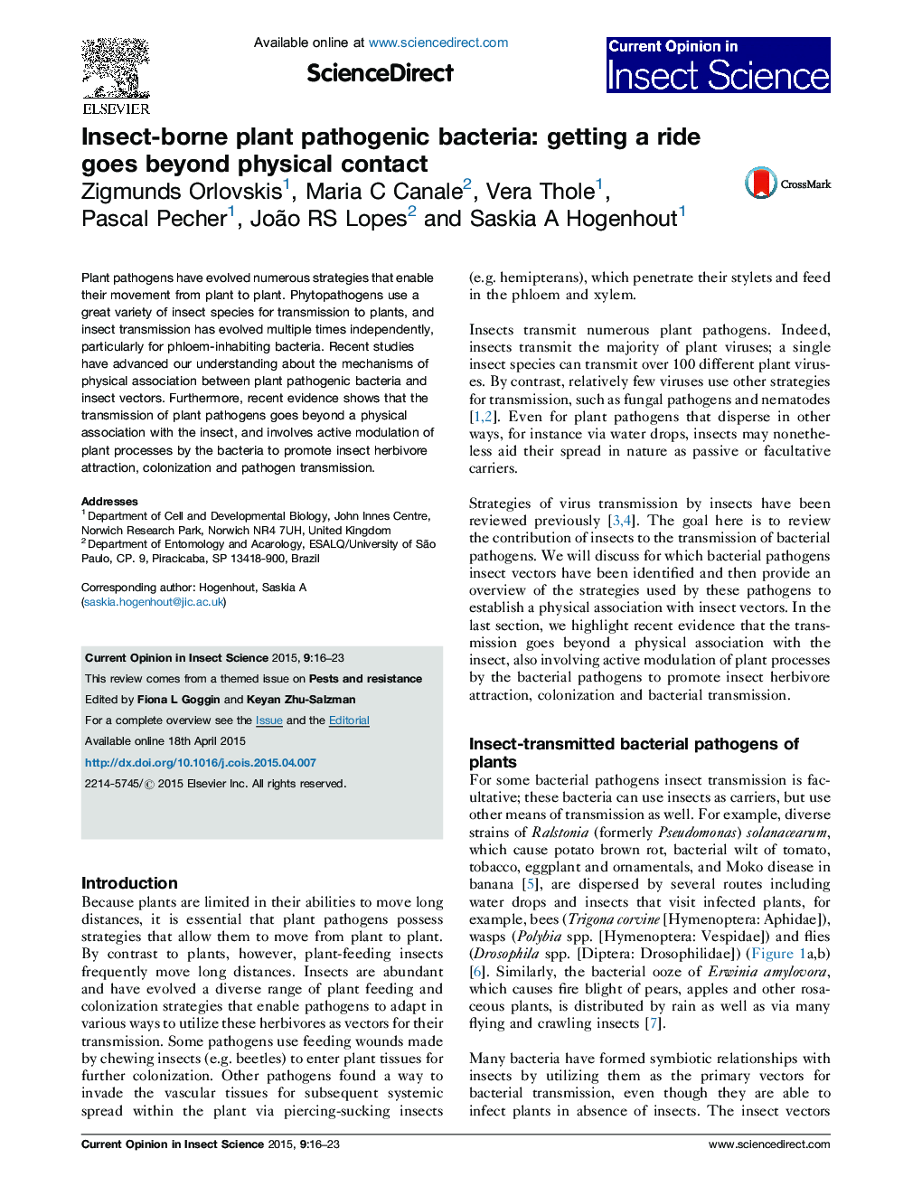 Insect-borne plant pathogenic bacteria: getting a ride goes beyond physical contact