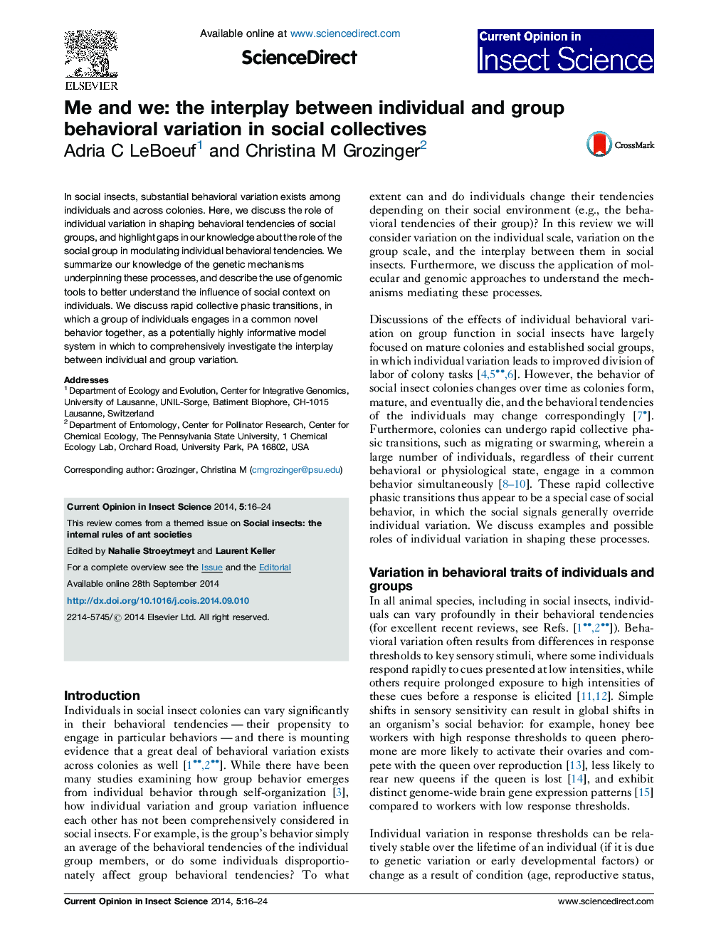 Me and we: the interplay between individual and group behavioral variation in social collectives