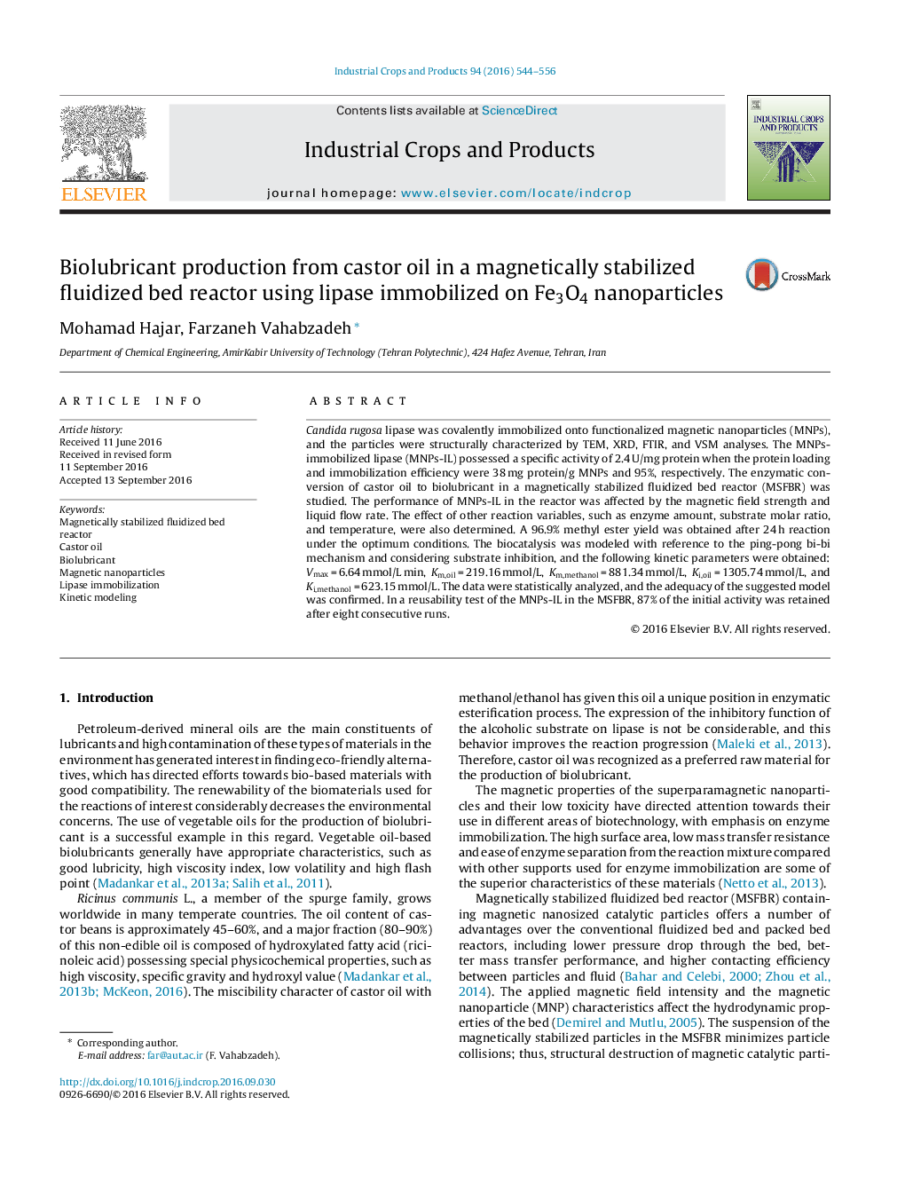 Biolubricant production from castor oil in a magnetically stabilized fluidized bed reactor using lipase immobilized on Fe3O4 nanoparticles