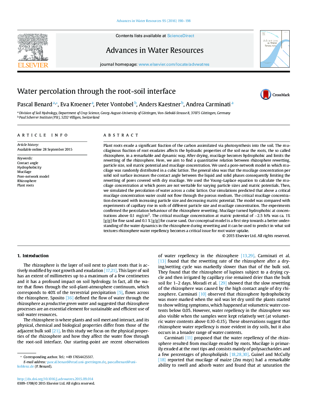 Water percolation through the root-soil interface