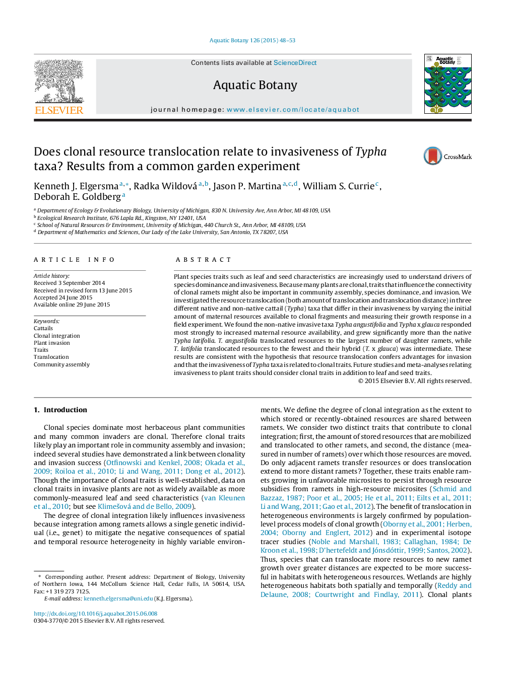 Does clonal resource translocation relate to invasiveness of Typha taxa? Results from a common garden experiment