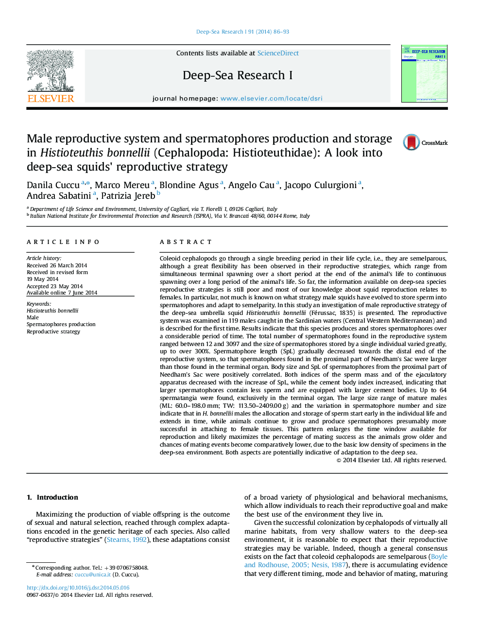 Male reproductive system and spermatophores production and storage in Histioteuthis bonnellii (Cephalopoda: Histioteuthidae): A look into deep-sea squids×³ reproductive strategy