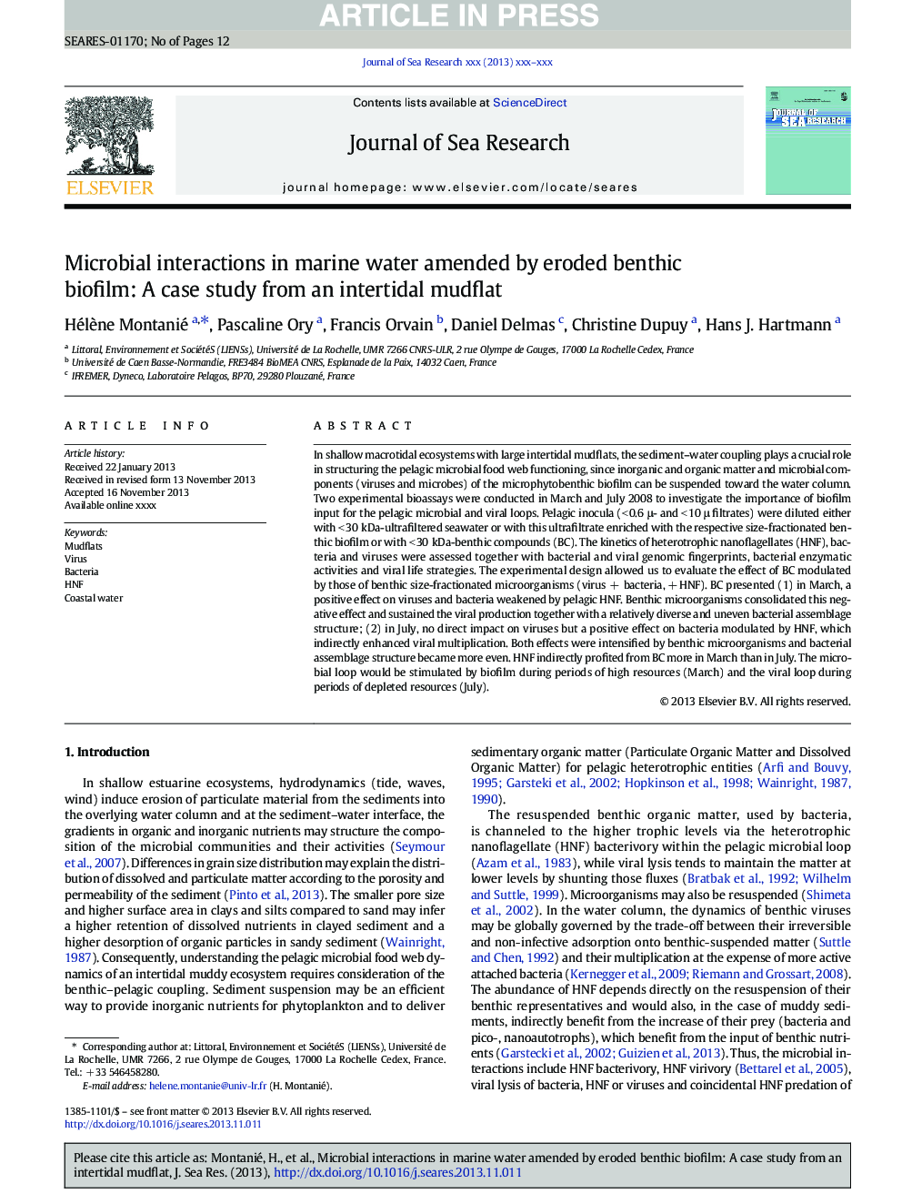 Microbial interactions in marine water amended by eroded benthic biofilm: A case study from an intertidal mudflat