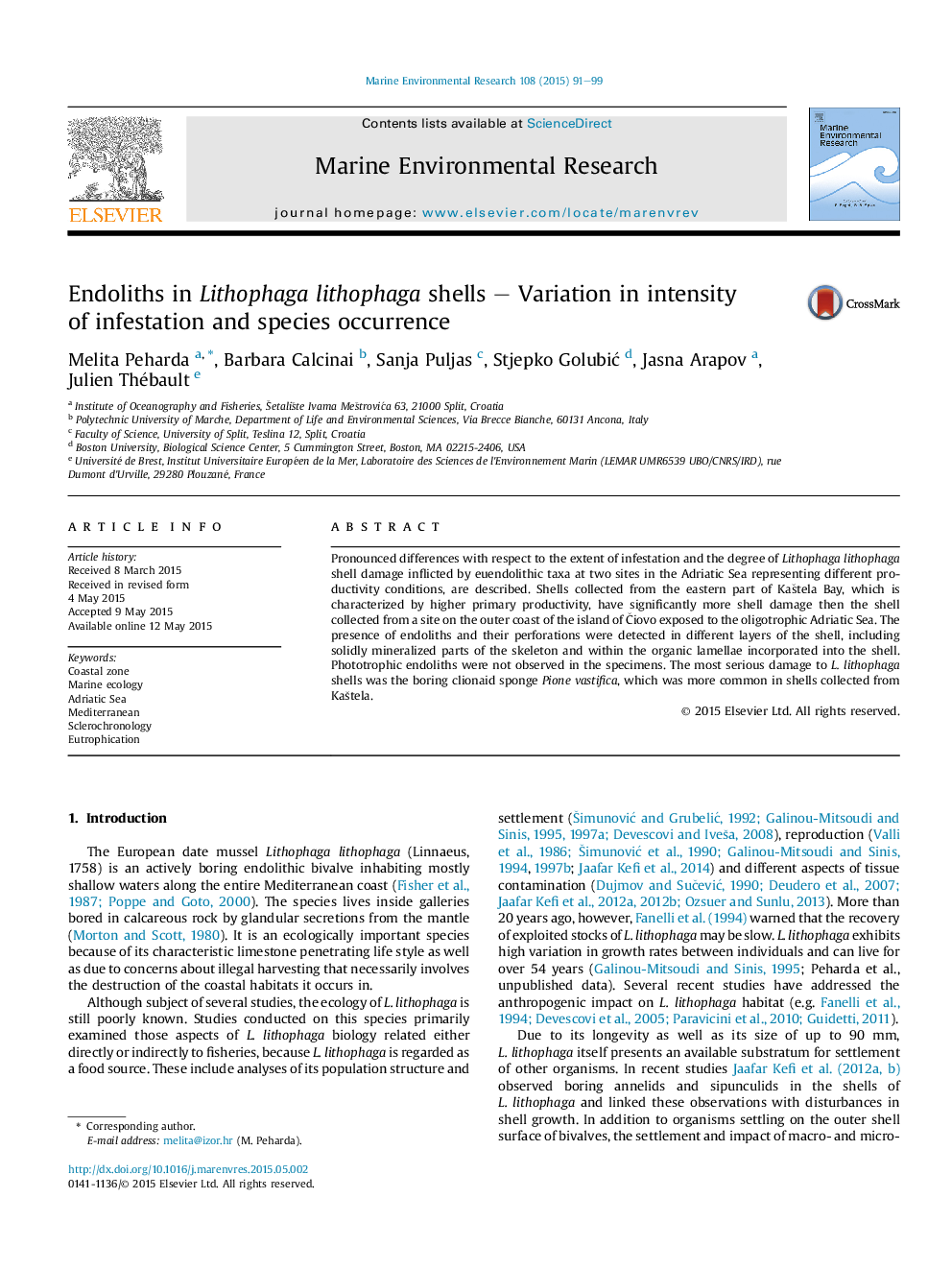 Endoliths in Lithophaga lithophaga shells - Variation in intensity ofÂ infestation and species occurrence