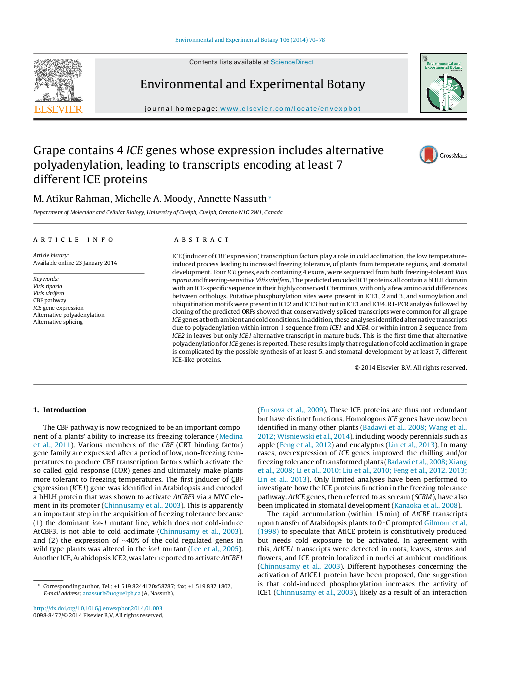 Grape contains 4 ICE genes whose expression includes alternative polyadenylation, leading to transcripts encoding at least 7 different ICE proteins