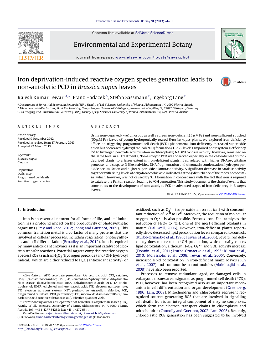 Iron deprivation-induced reactive oxygen species generation leads to non-autolytic PCD in Brassica napus leaves