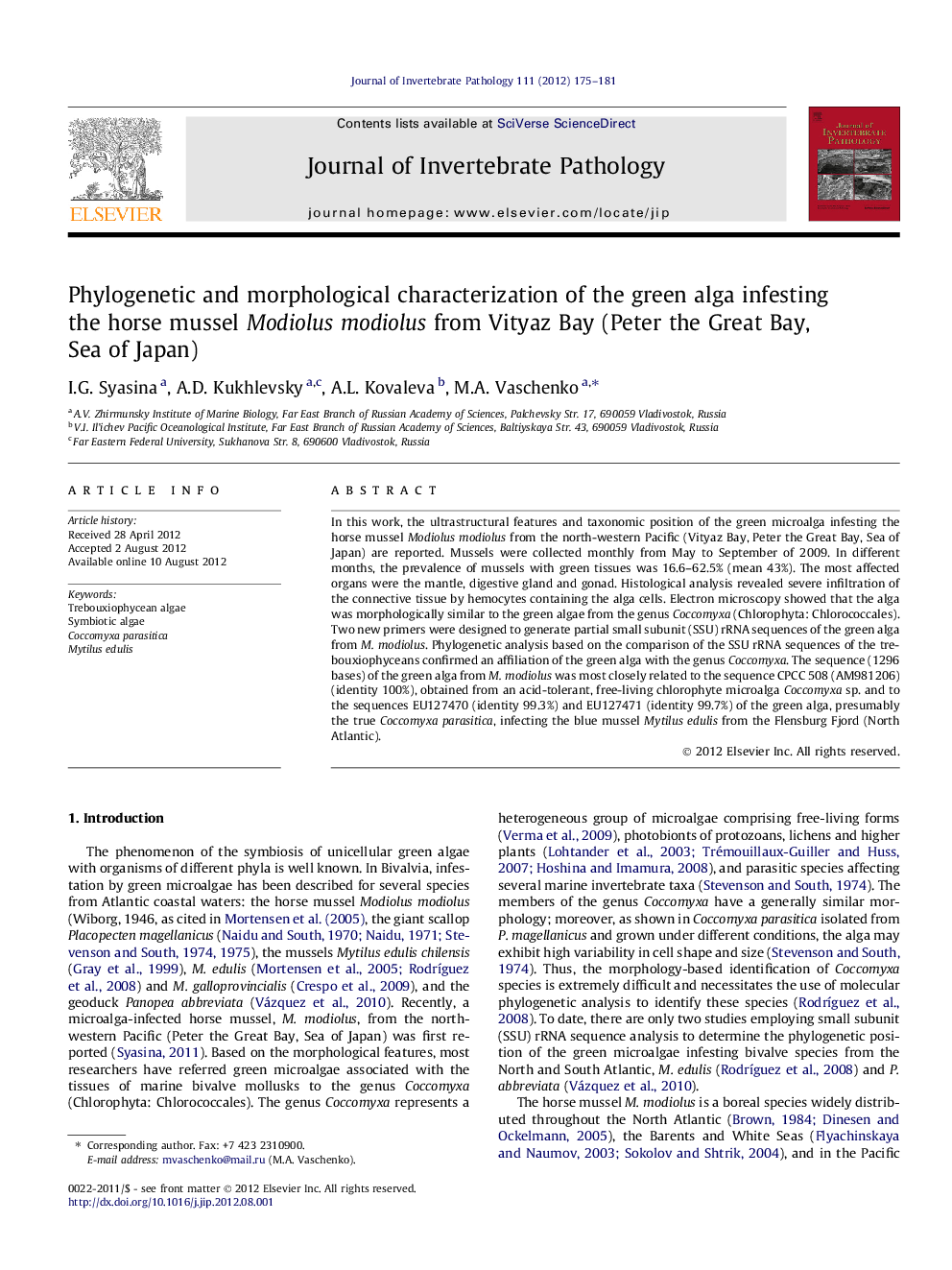 Phylogenetic and morphological characterization of the green alga infesting the horse mussel Modiolus modiolus from Vityaz Bay (Peter the Great Bay, Sea of Japan)