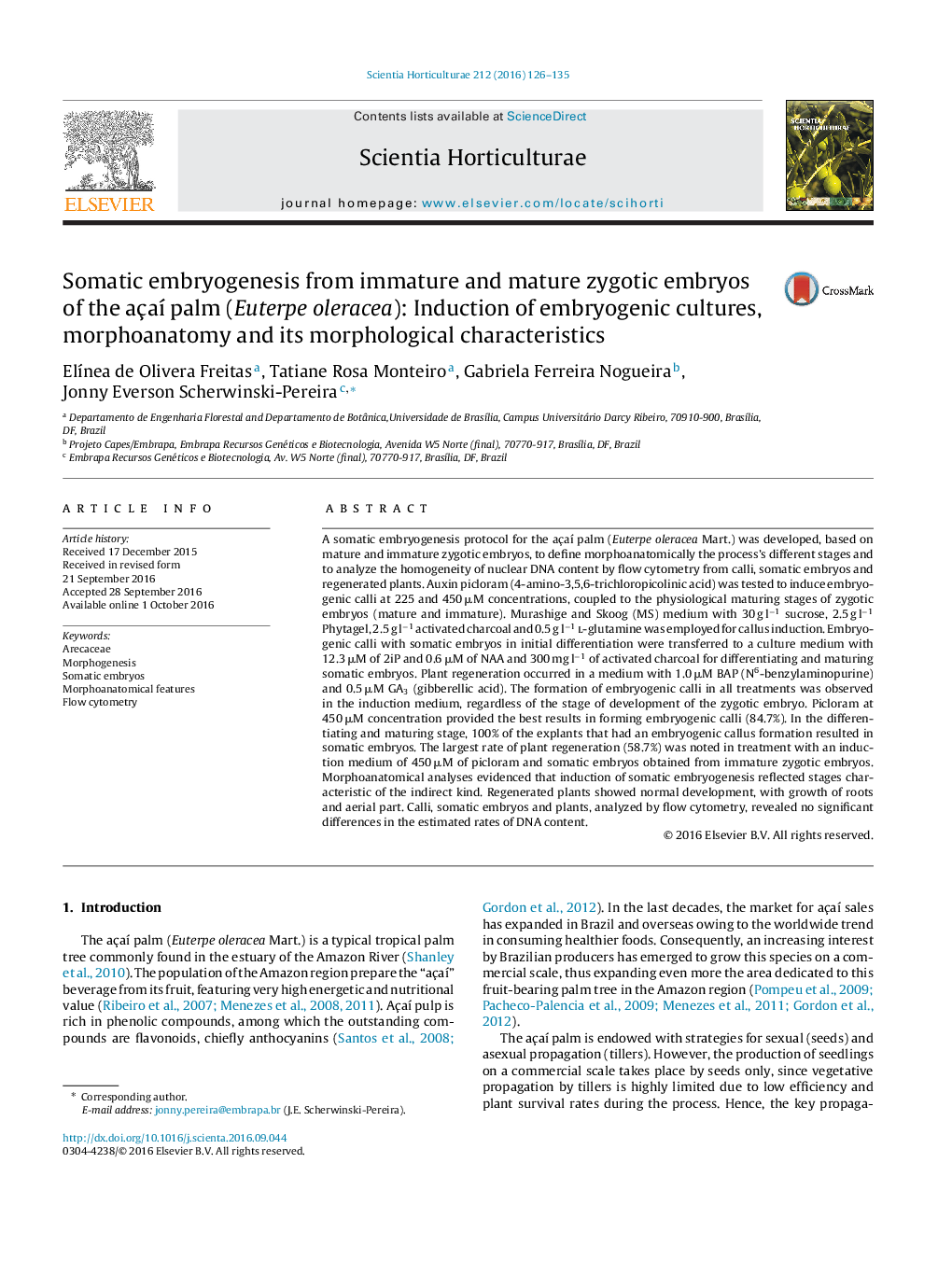 Somatic embryogenesis from immature and mature zygotic embryos of the açaÃ­ palm (Euterpe oleracea): Induction of embryogenic cultures, morphoanatomy and its morphological characteristics