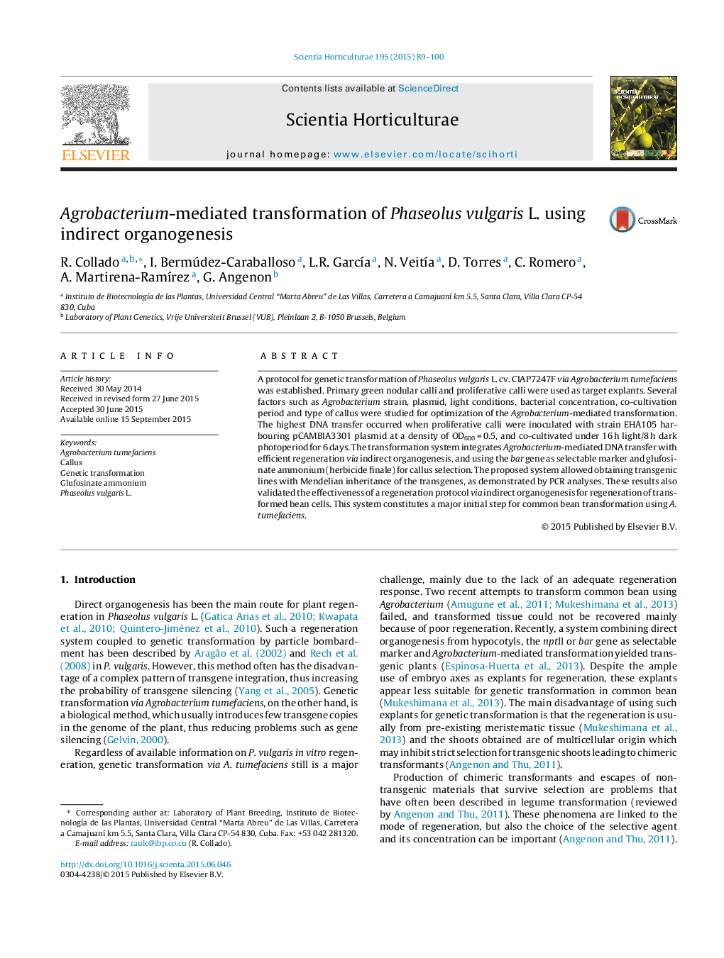 Agrobacterium-mediated transformation of Phaseolus vulgaris L. using indirect organogenesis