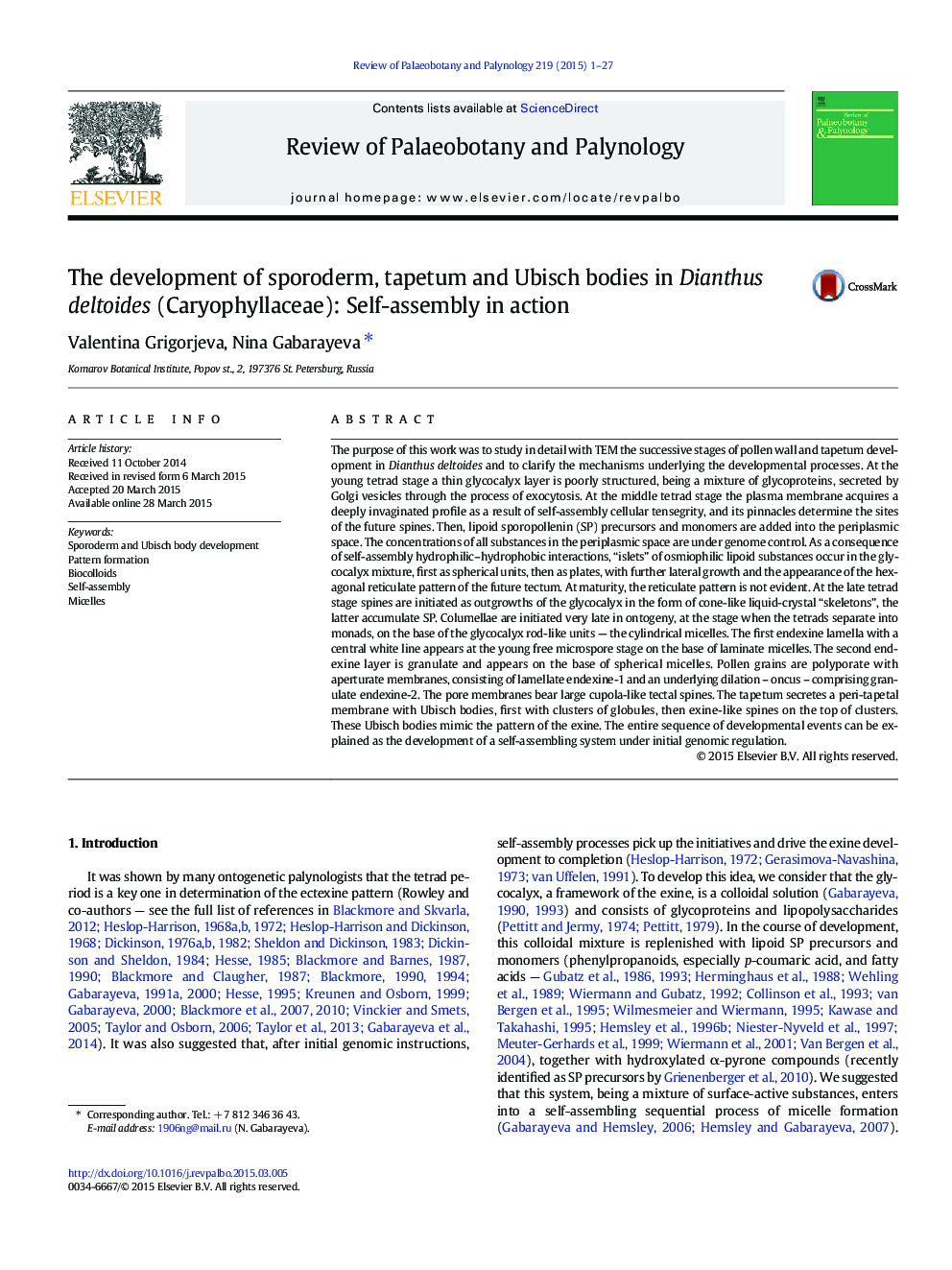 The development of sporoderm, tapetum and Ubisch bodies in Dianthus deltoides (Caryophyllaceae): Self-assembly in action