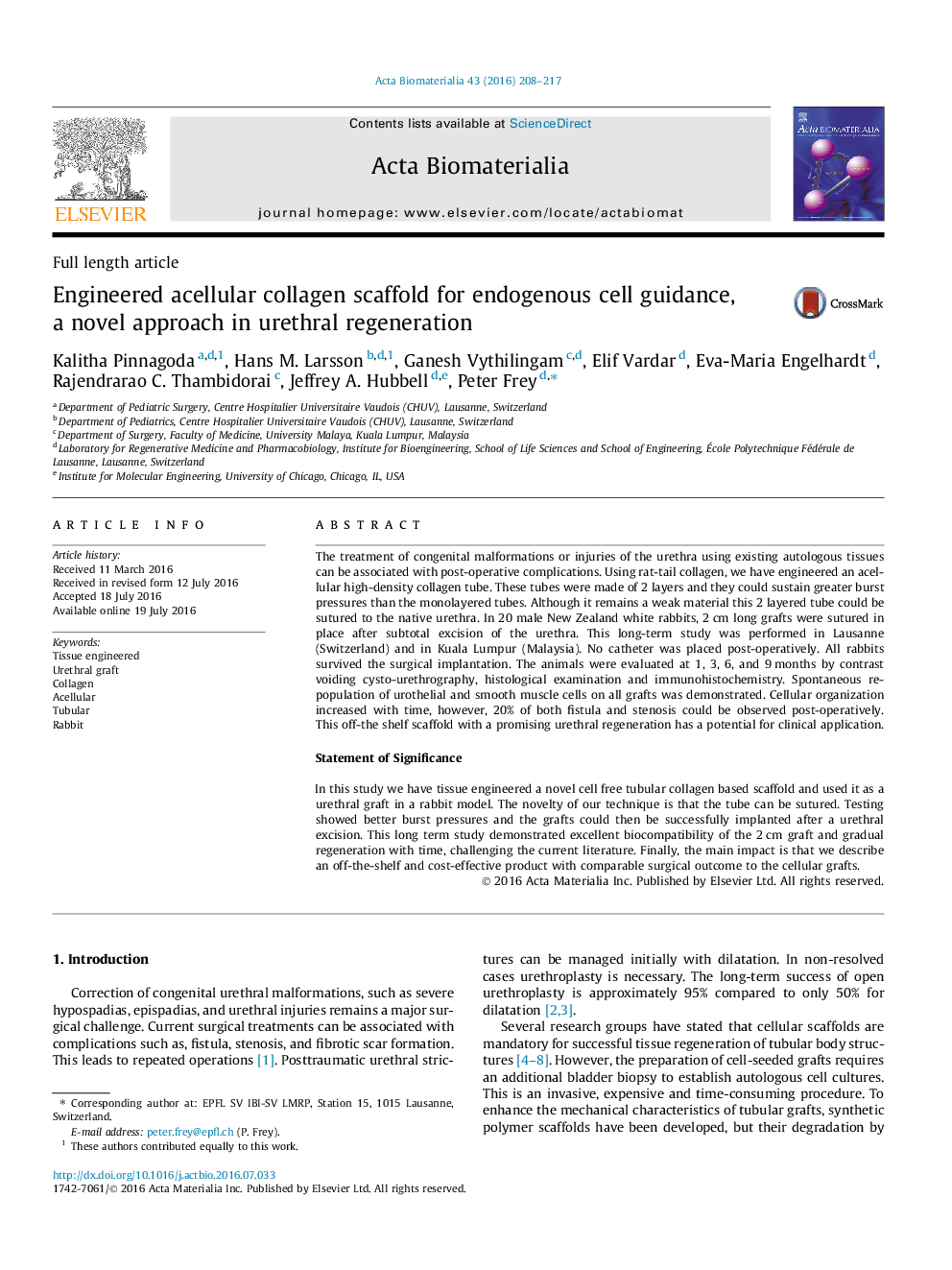 Full length articleEngineered acellular collagen scaffold for endogenous cell guidance, a novel approach in urethral regeneration