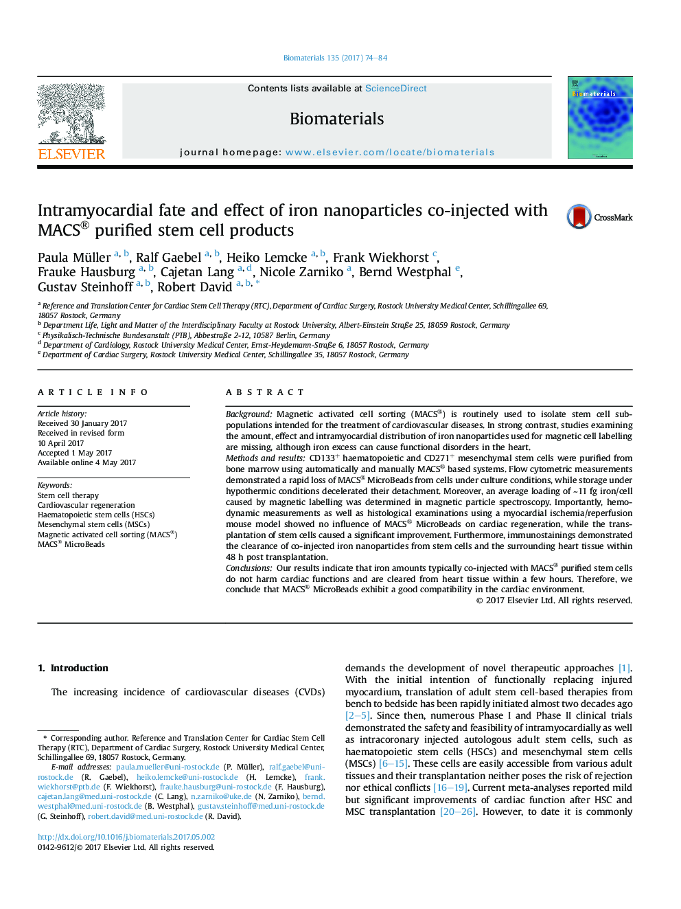 Intramyocardial fate and effect of iron nanoparticles co-injected with MACS® purified stem cell products