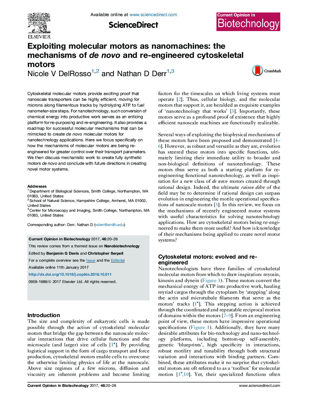 Exploiting molecular motors as nanomachines: the mechanisms of de novo and re-engineered cytoskeletal motors