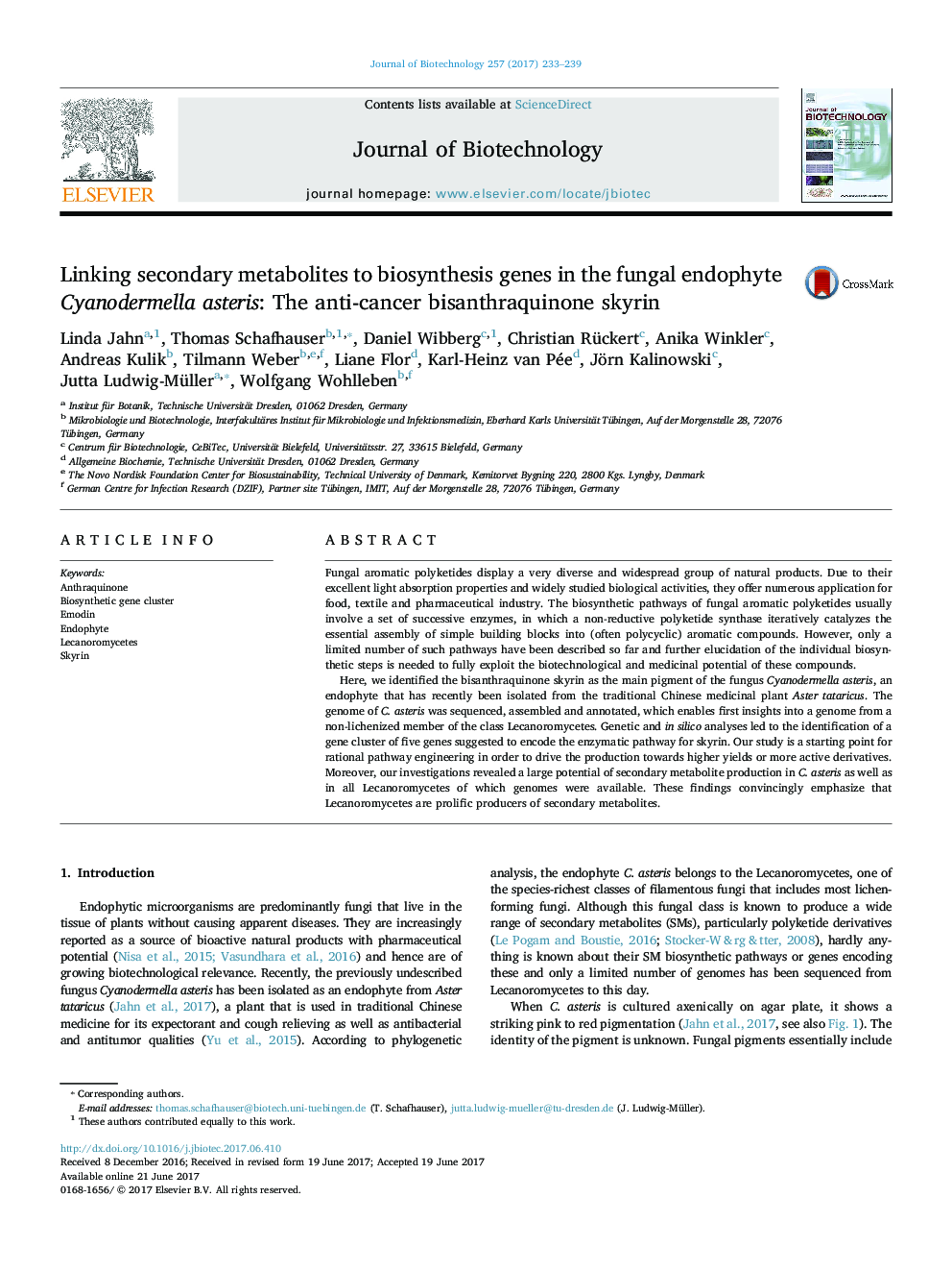 Linking secondary metabolites to biosynthesis genes in the fungal endophyte Cyanodermella asteris: The anti-cancer bisanthraquinone skyrin