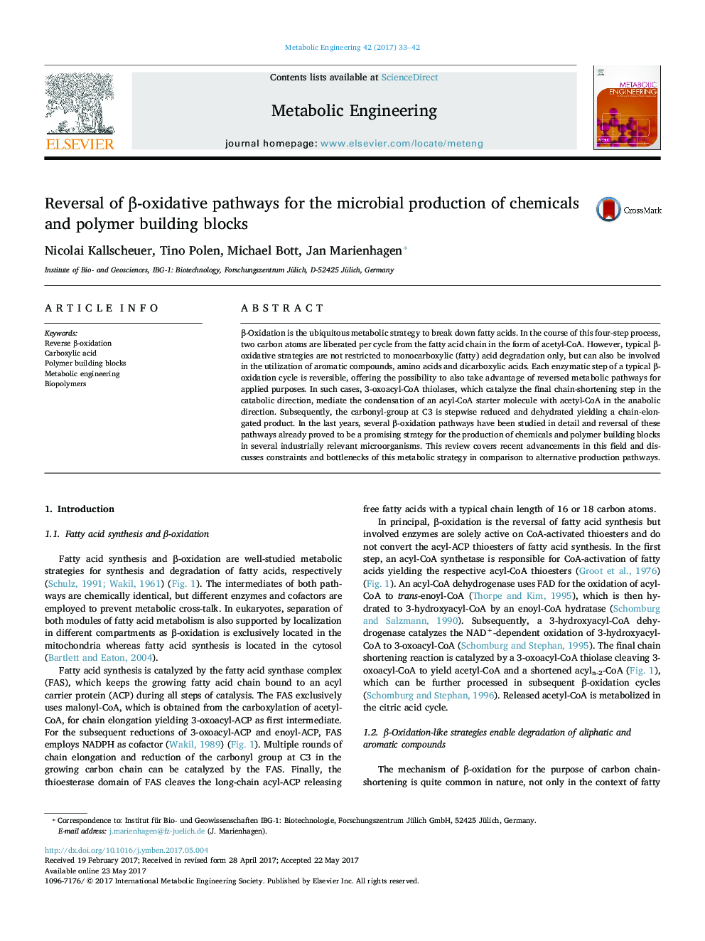 Reversal of Î²-oxidative pathways for the microbial production of chemicals and polymer building blocks