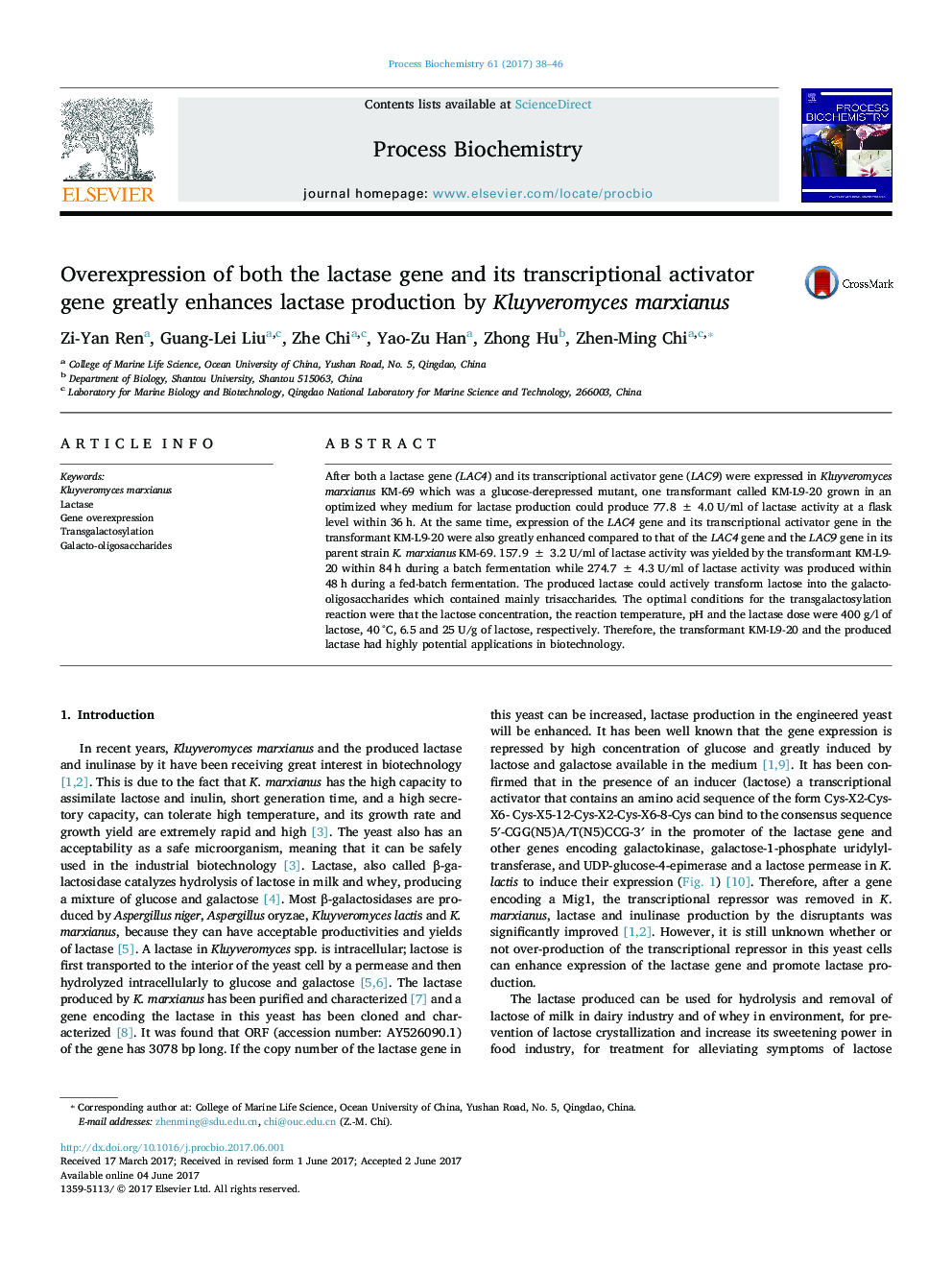 Overexpression of both the lactase gene and its transcriptional activator gene greatly enhances lactase production by Kluyveromyces marxianus