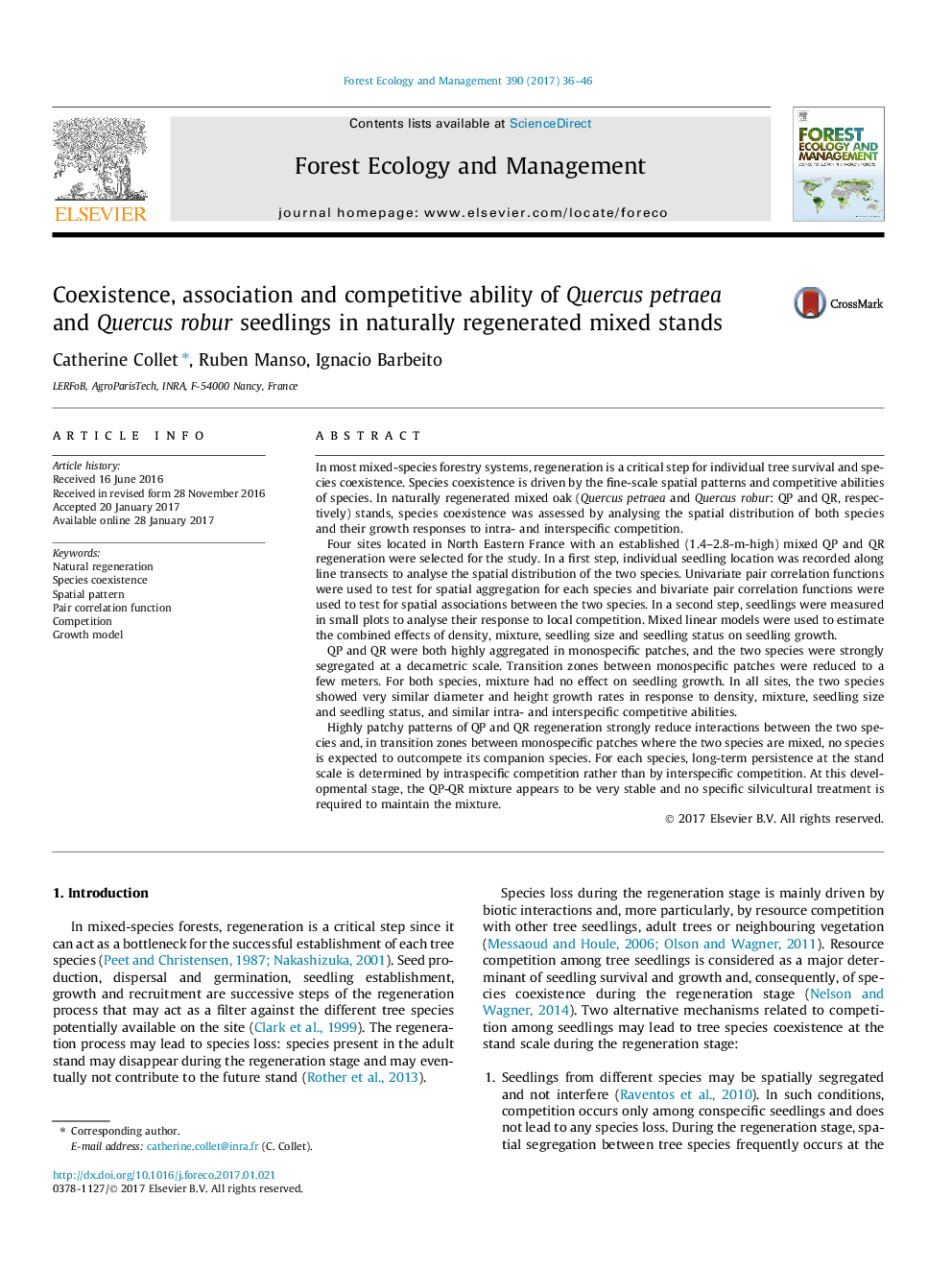 Coexistence, association and competitive ability of Quercus petraea and Quercus robur seedlings in naturally regenerated mixed stands