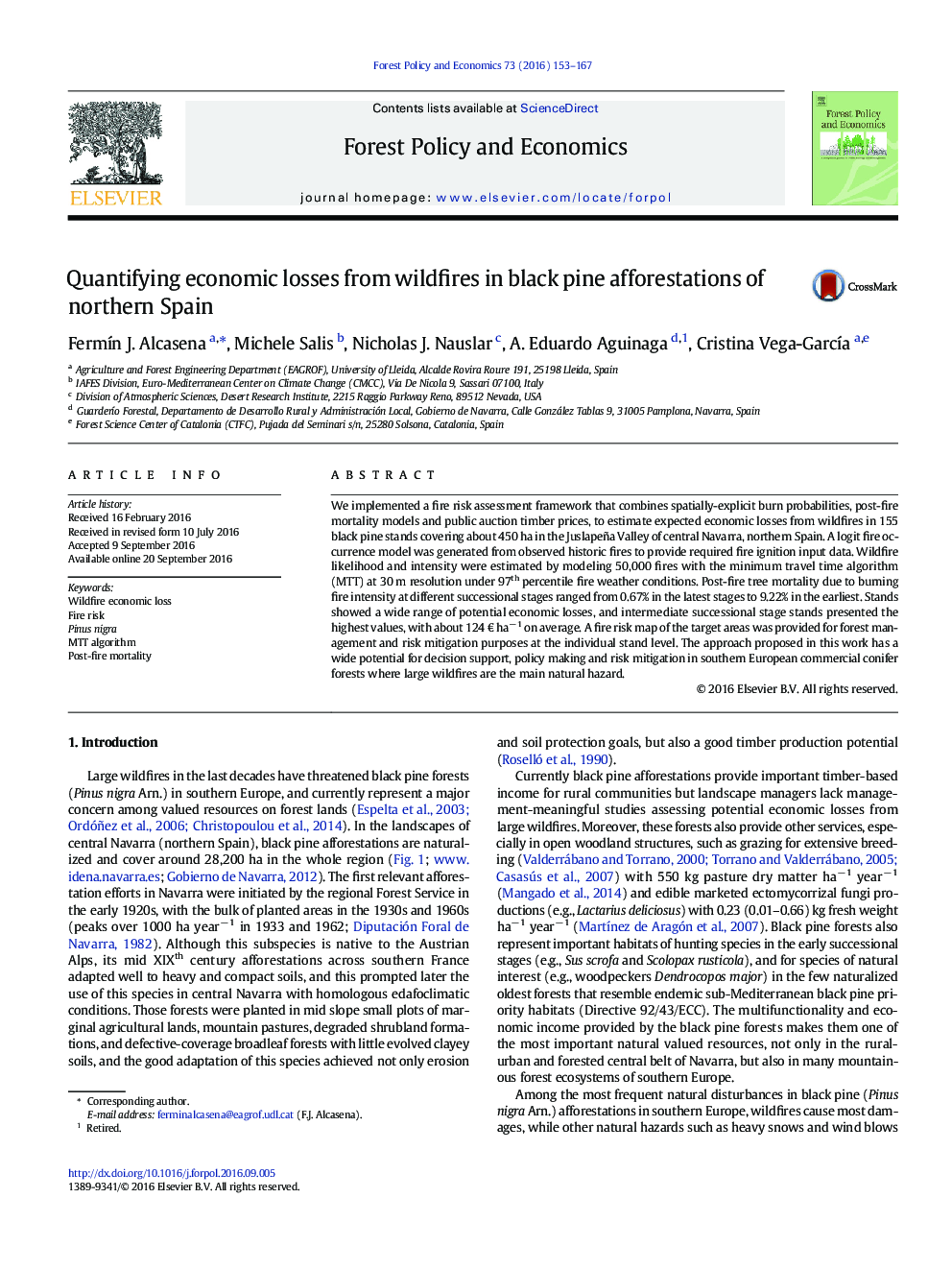 Quantifying economic losses from wildfires in black pine afforestations of northern Spain