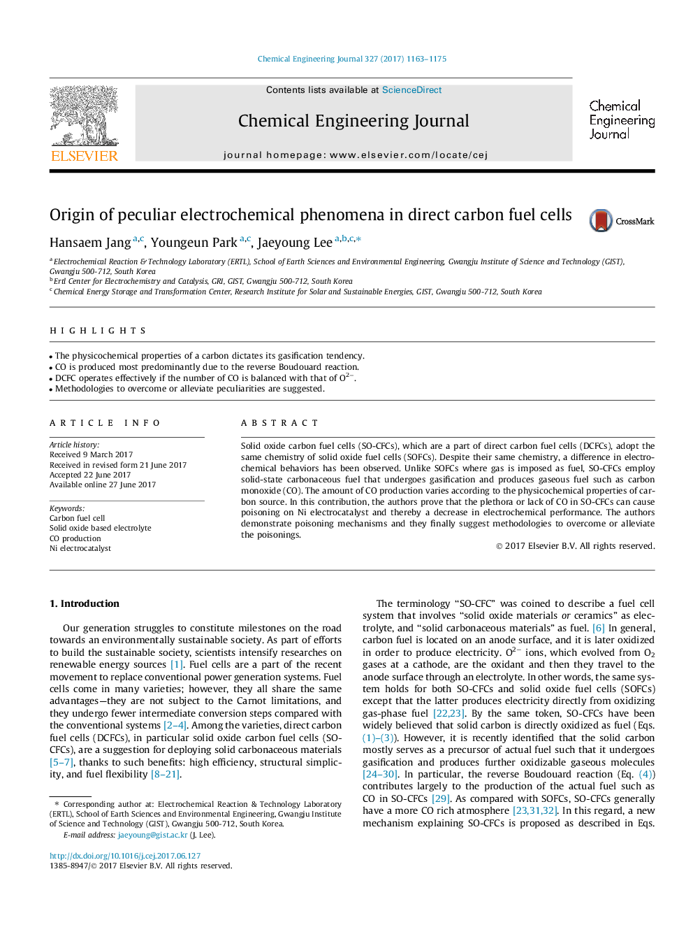 Origin of peculiar electrochemical phenomena in direct carbon fuel cells