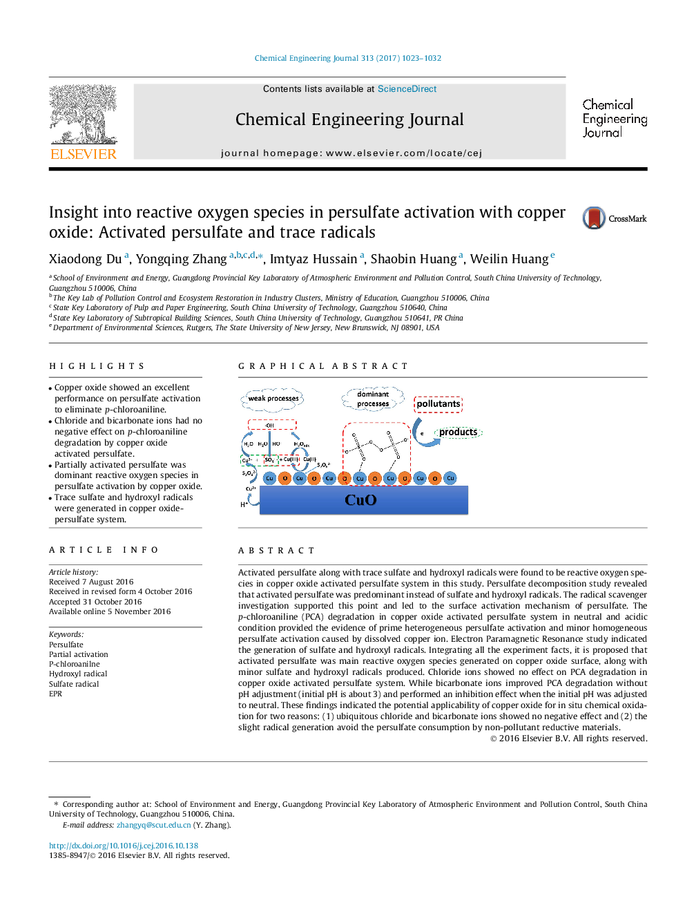 Insight into reactive oxygen species in persulfate activation with copper oxide: Activated persulfate and trace radicals