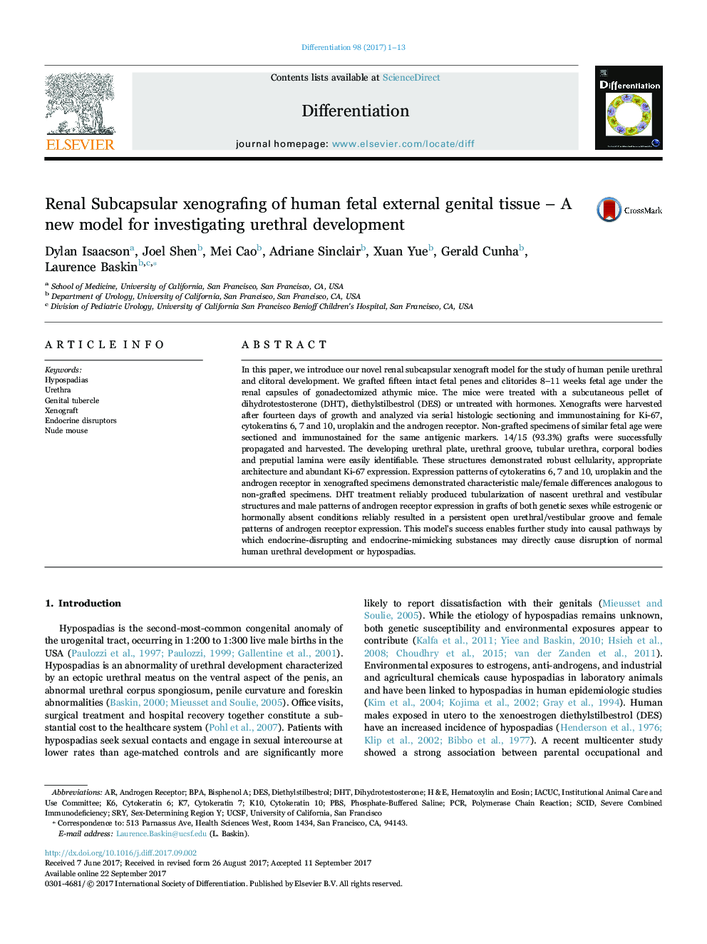 Renal Subcapsular xenografing of human fetal external genital tissue - A new model for investigating urethral development