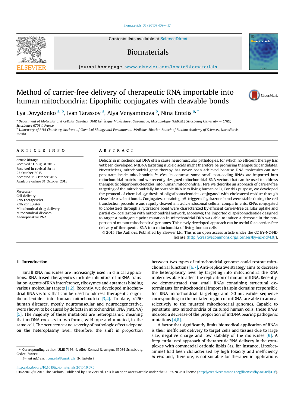 Method of carrier-free delivery of therapeutic RNA importable into human mitochondria: Lipophilic conjugates with cleavable bonds