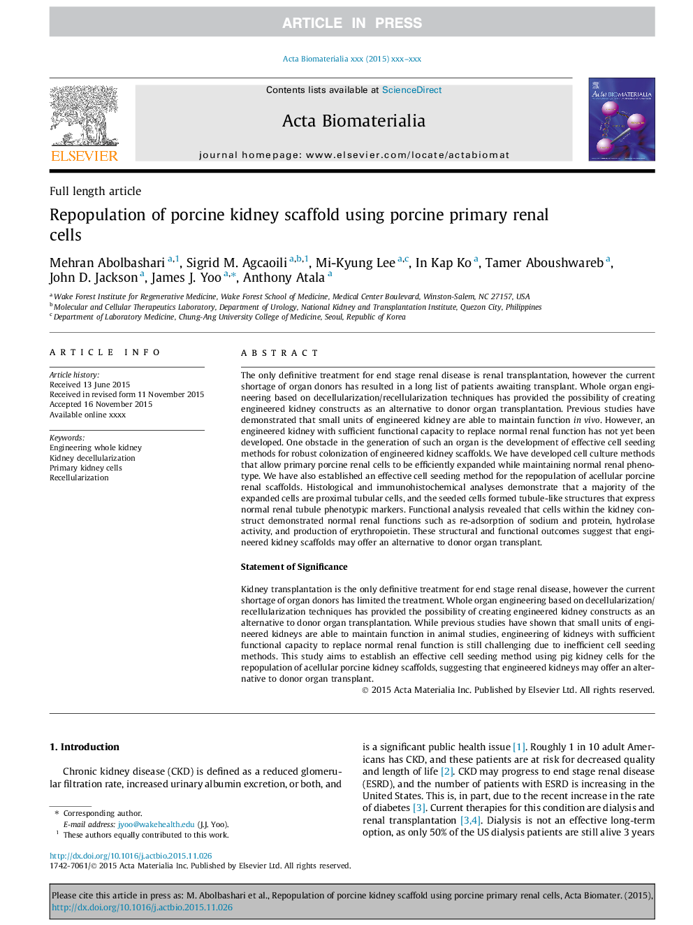 Repopulation of porcine kidney scaffold using porcine primary renal cells