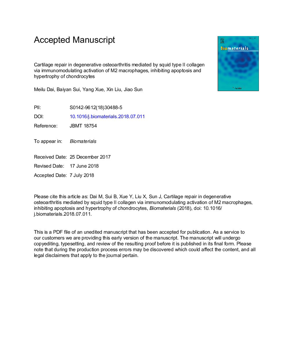 Cartilage repair in degenerative osteoarthritis mediated by squid type II collagen via immunomodulating activation of M2 macrophages, inhibiting apoptosis and hypertrophy of chondrocytes