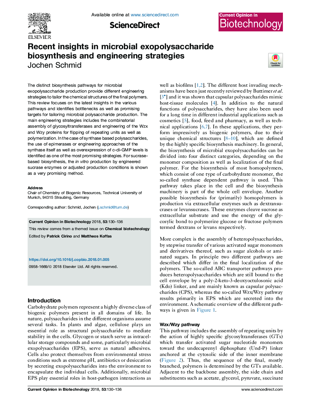 Recent insights in microbial exopolysaccharide biosynthesis and engineering strategies