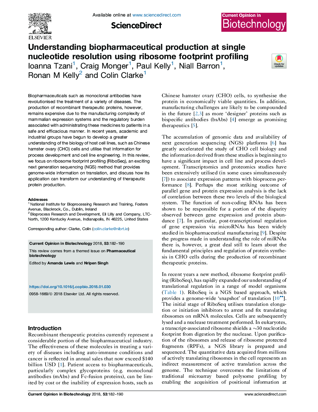 Understanding biopharmaceutical production at single nucleotide resolution using ribosome footprint profiling