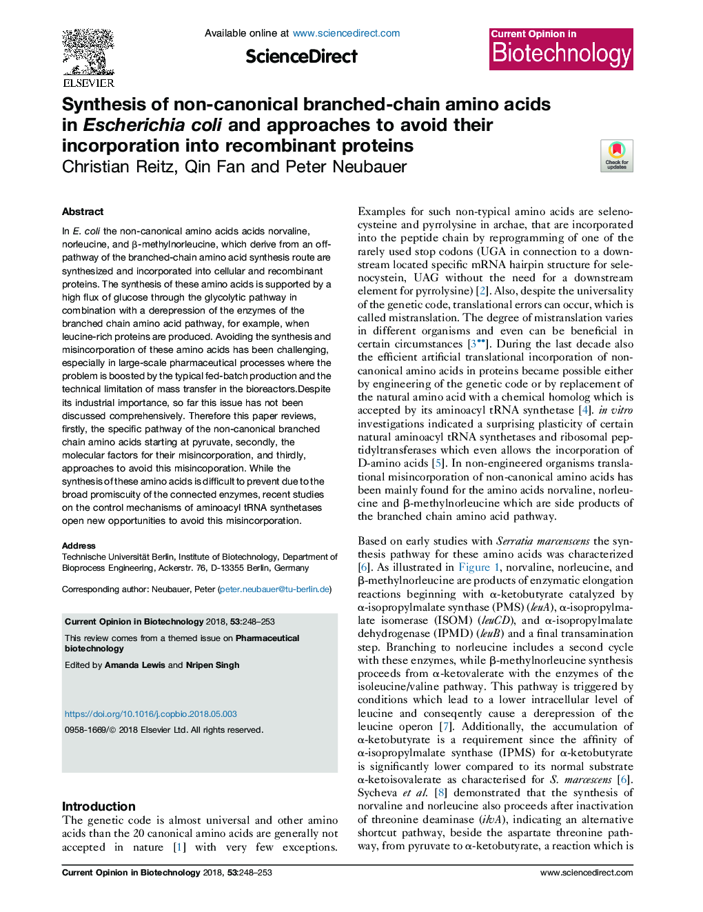 Synthesis of non-canonical branched-chain amino acids in Escherichia coli and approaches to avoid their incorporation into recombinant proteins