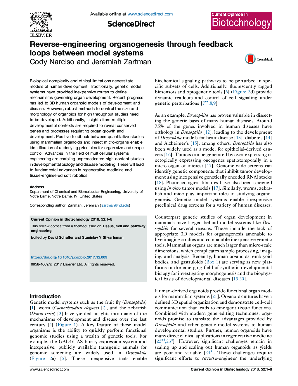 Reverse-engineering organogenesis through feedback loops between model systems