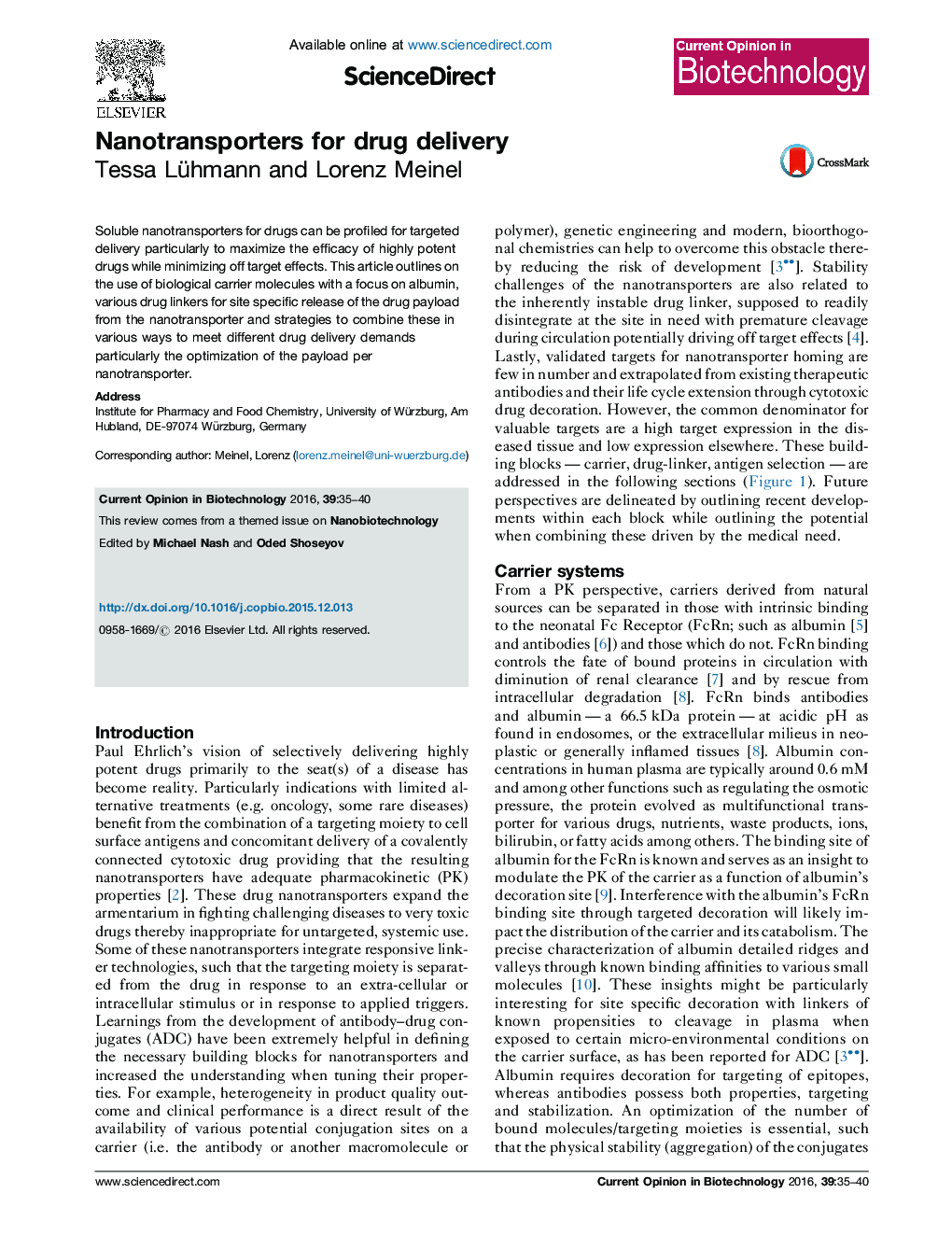 Nanotransporters for drug delivery