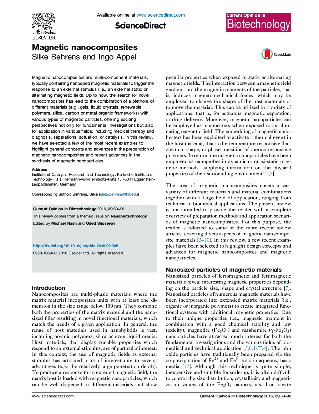 Magnetic nanocomposites