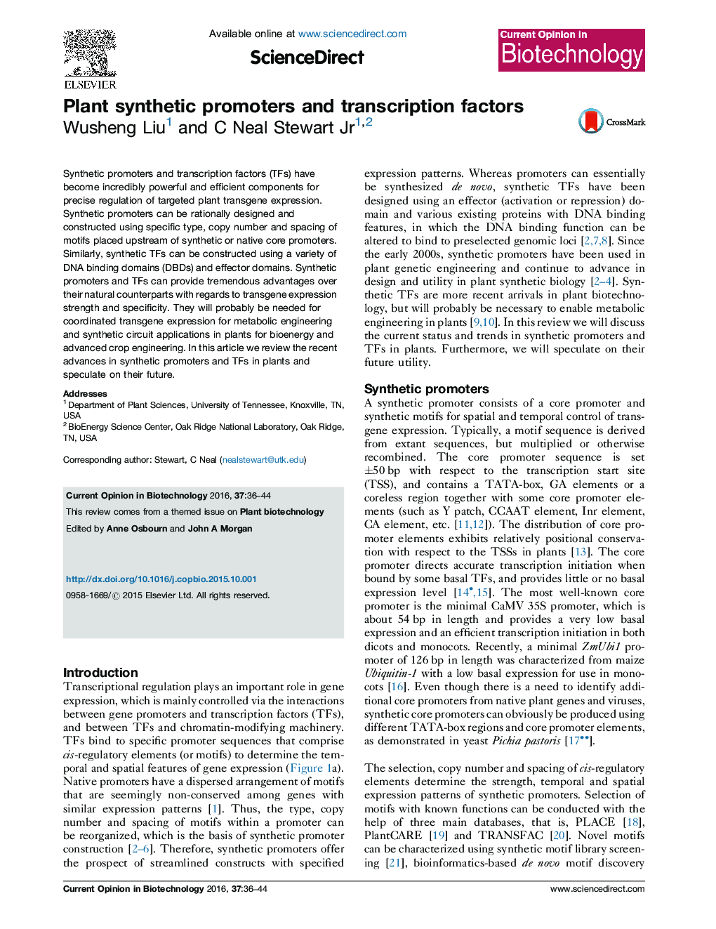 Plant synthetic promoters and transcription factors