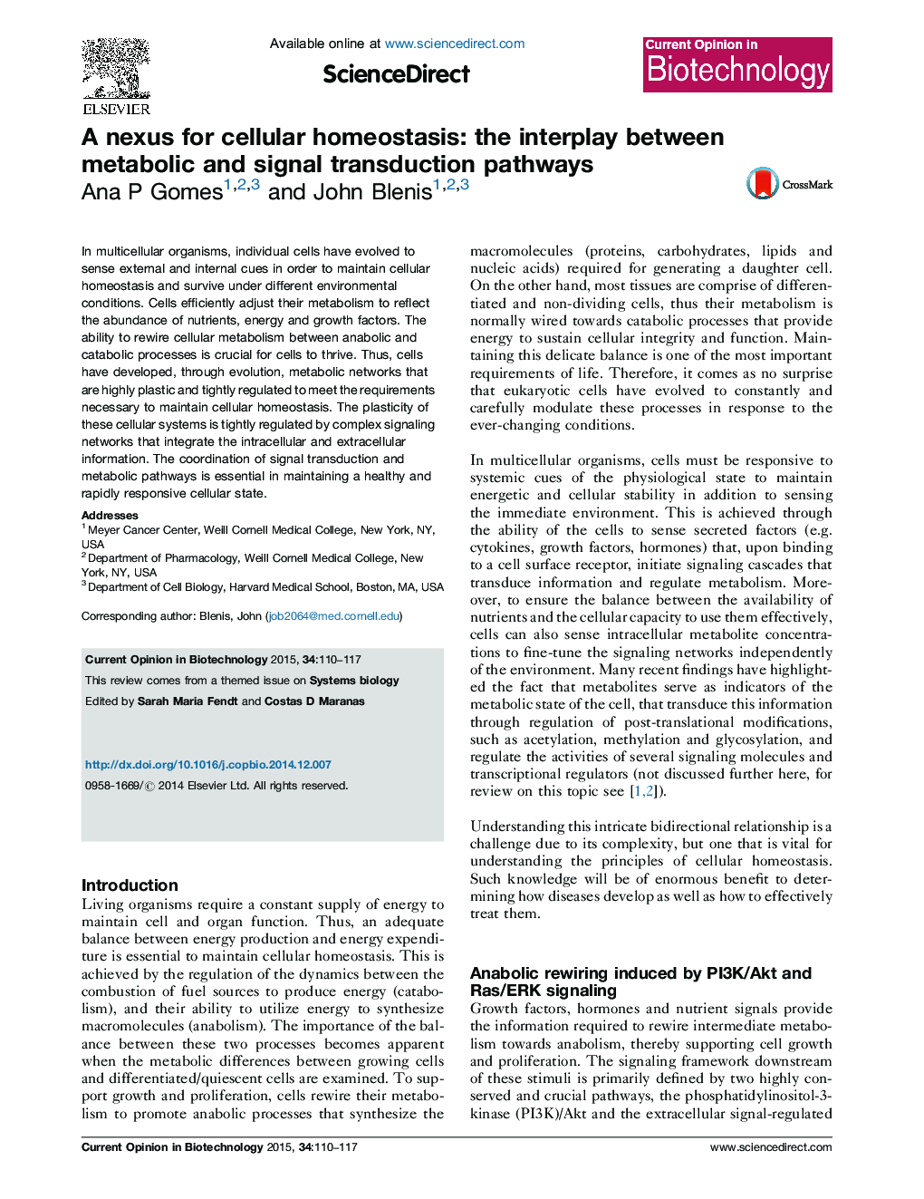 A nexus for cellular homeostasis: the interplay between metabolic and signal transduction pathways