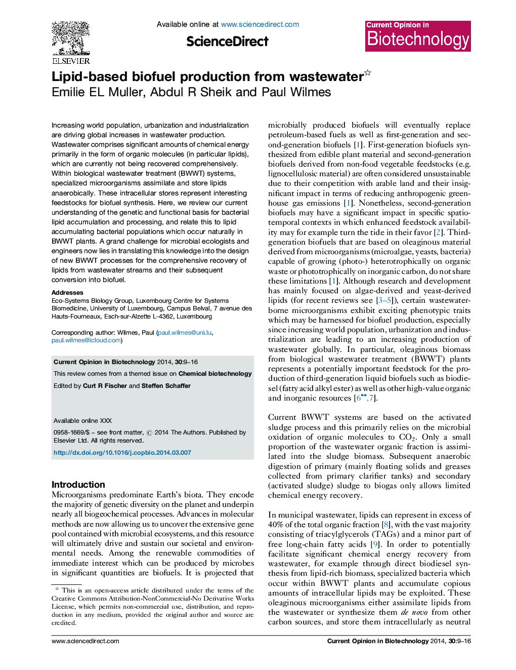 Lipid-based biofuel production from wastewater