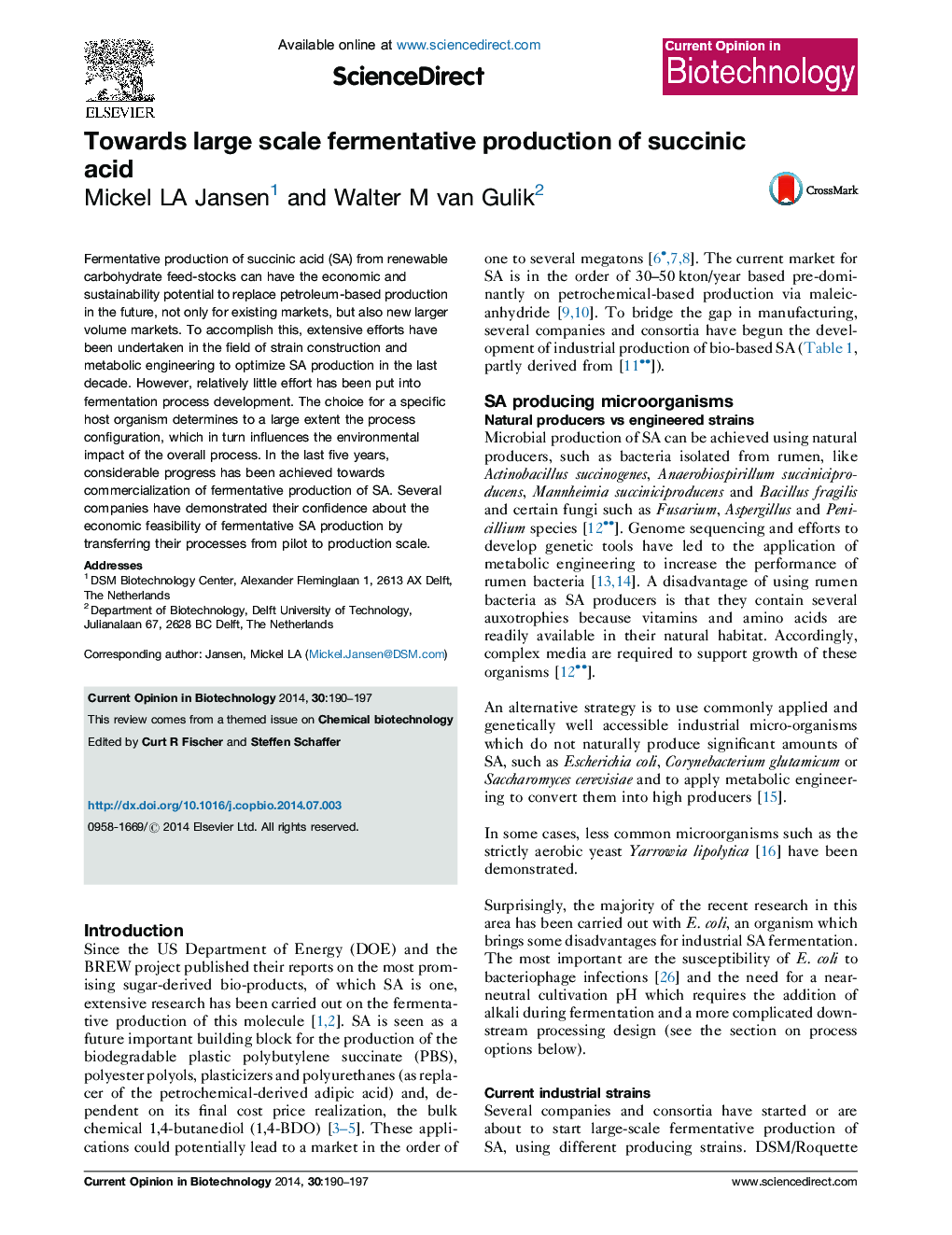 Towards large scale fermentative production of succinic acid