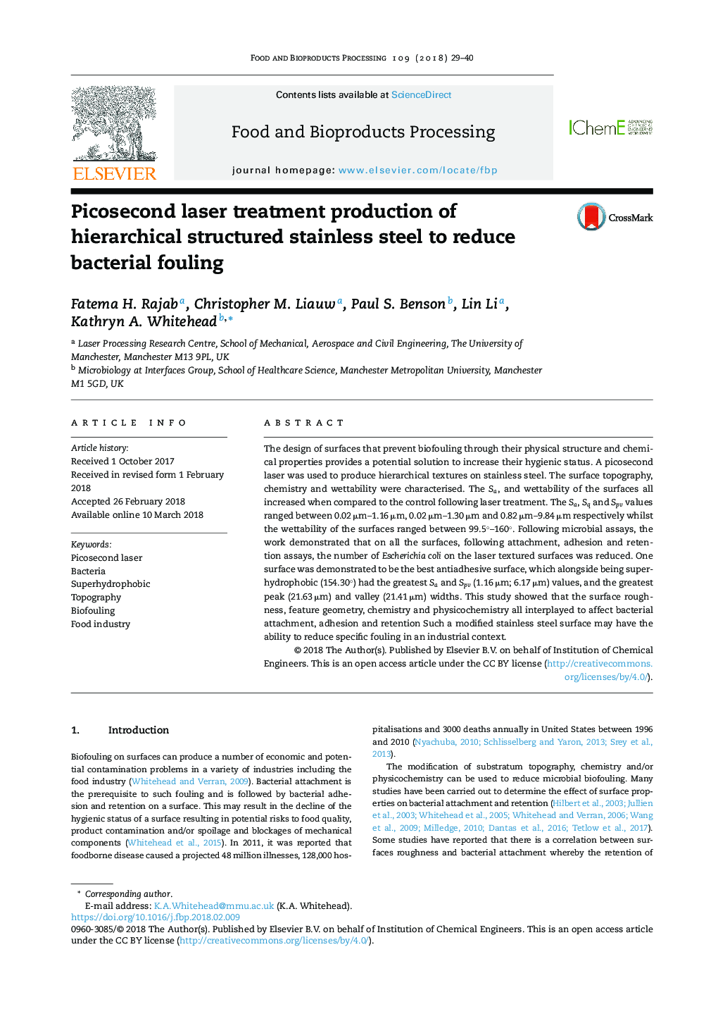 Picosecond laser treatment production of hierarchical structured stainless steel to reduce bacterial fouling