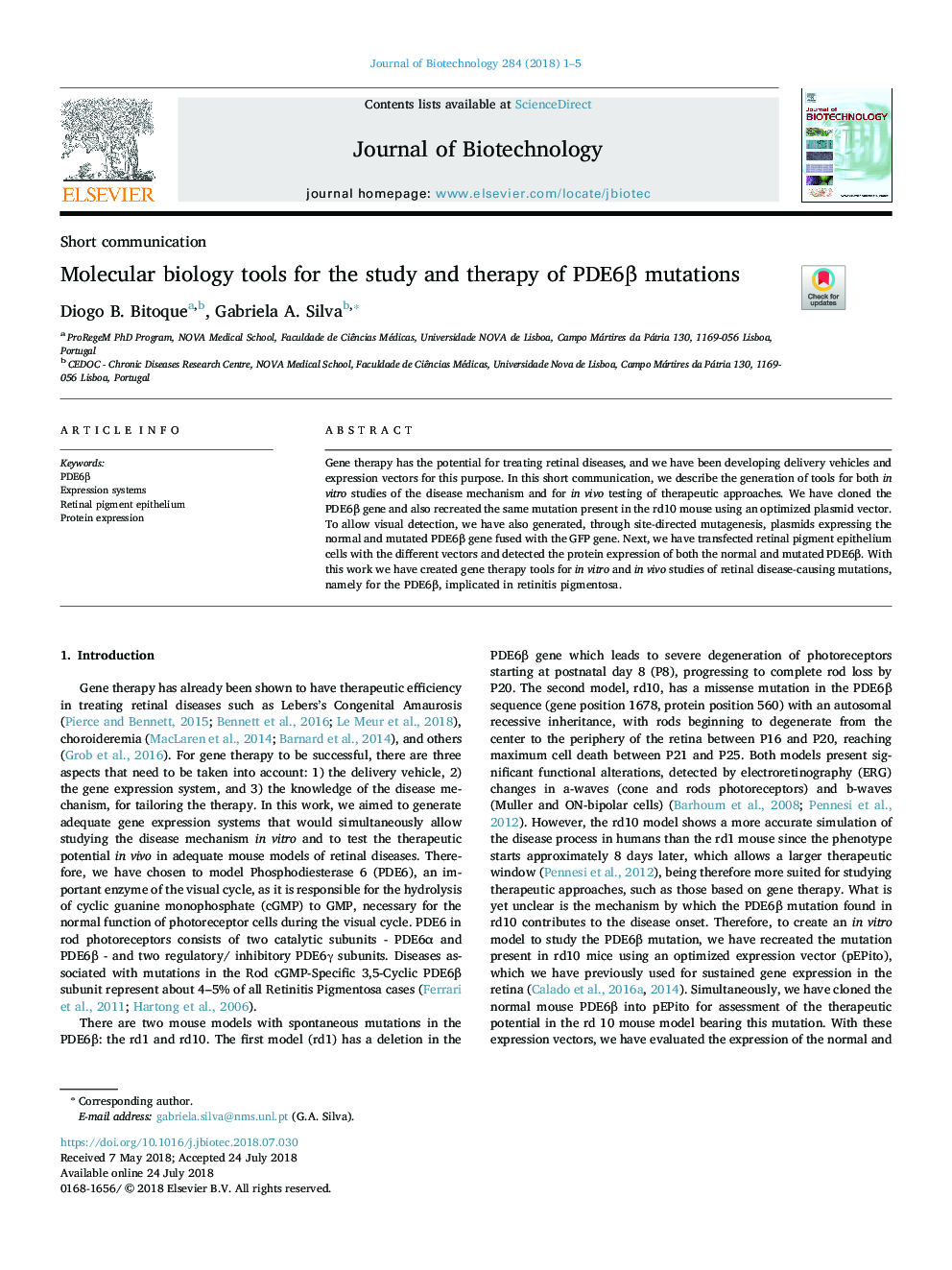 Molecular biology tools for the study and therapy of PDE6Î² mutations