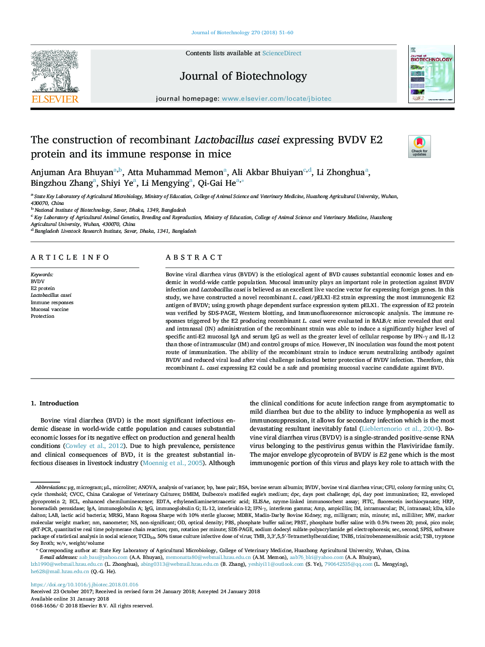 The construction of recombinant Lactobacillus casei expressing BVDV E2 protein and its immune response in mice