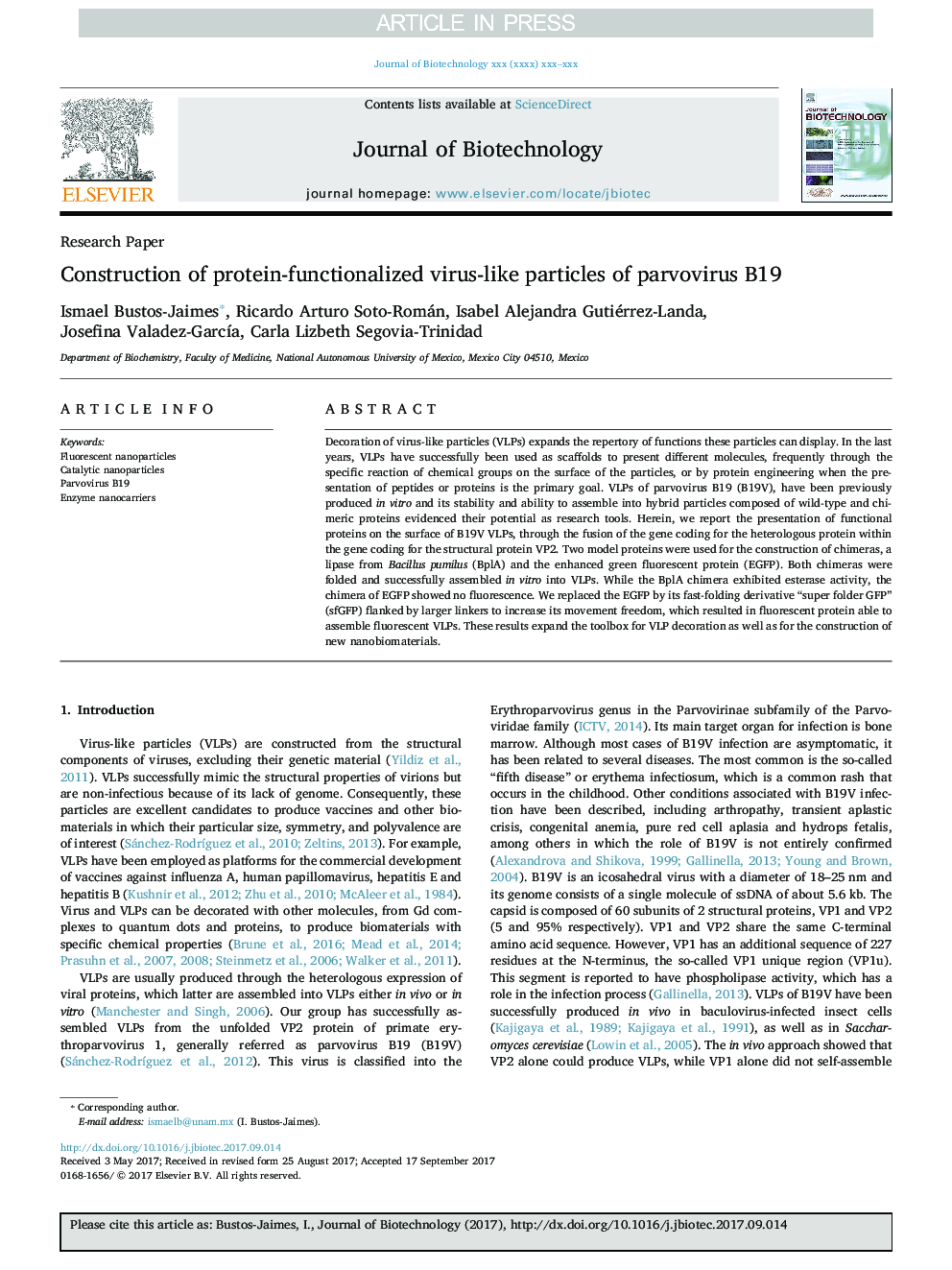 Construction of protein-functionalized virus-like particles of parvovirus B19