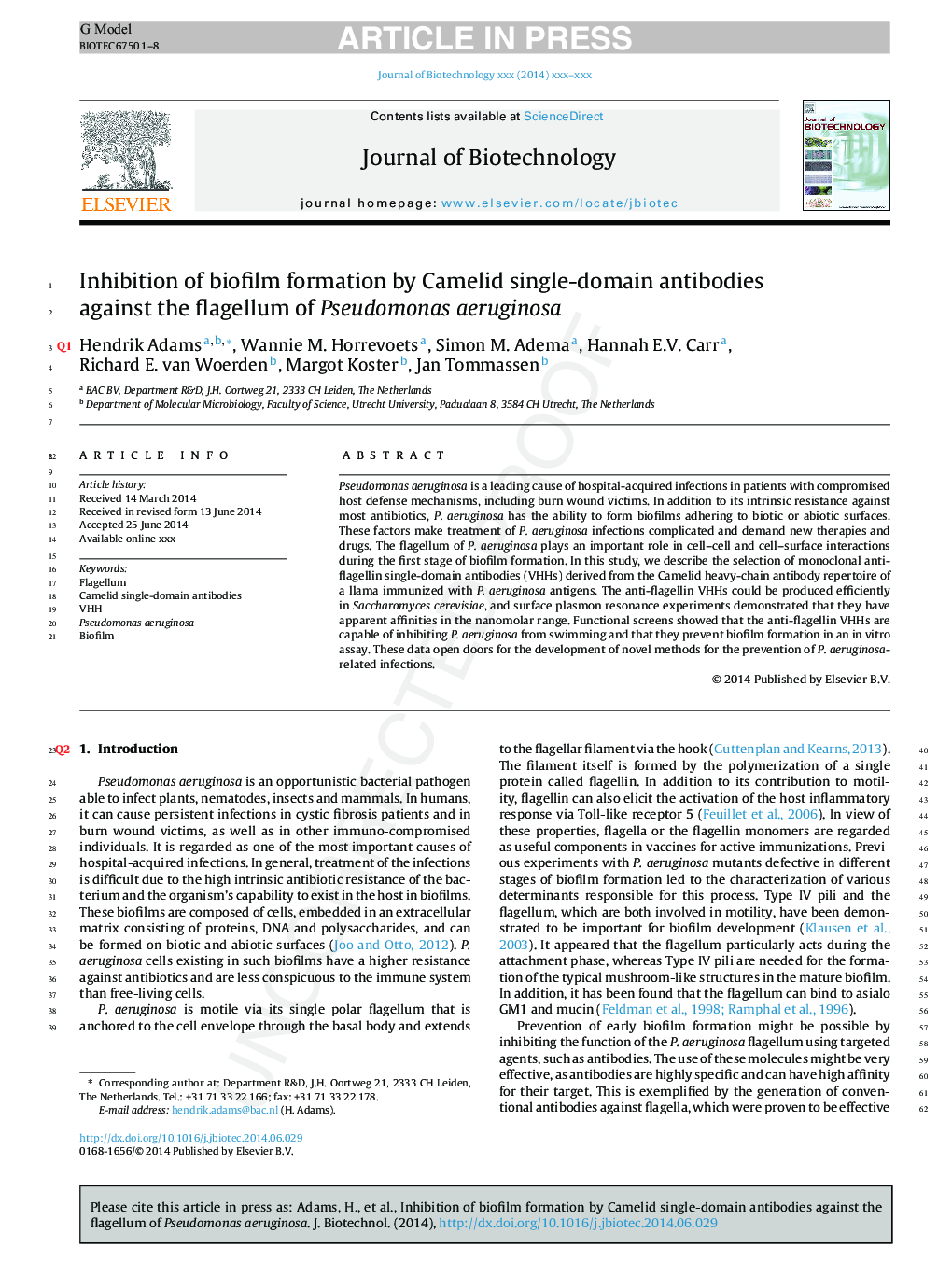 Inhibition of biofilm formation by Camelid single-domain antibodies against the flagellum of Pseudomonas aeruginosa